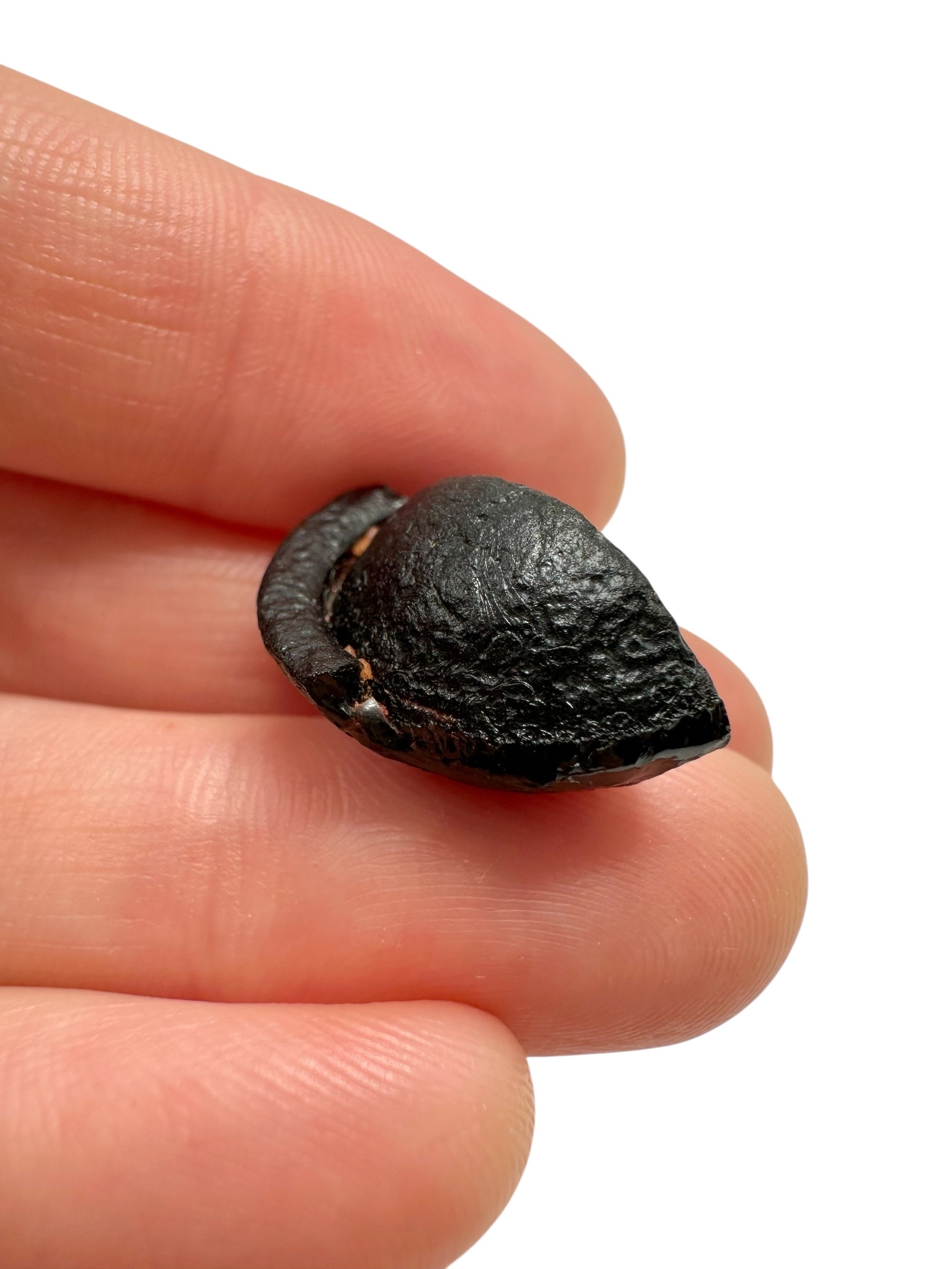 Australite "button" 2,2g – Kalgoorlie, Western Australia - AU119