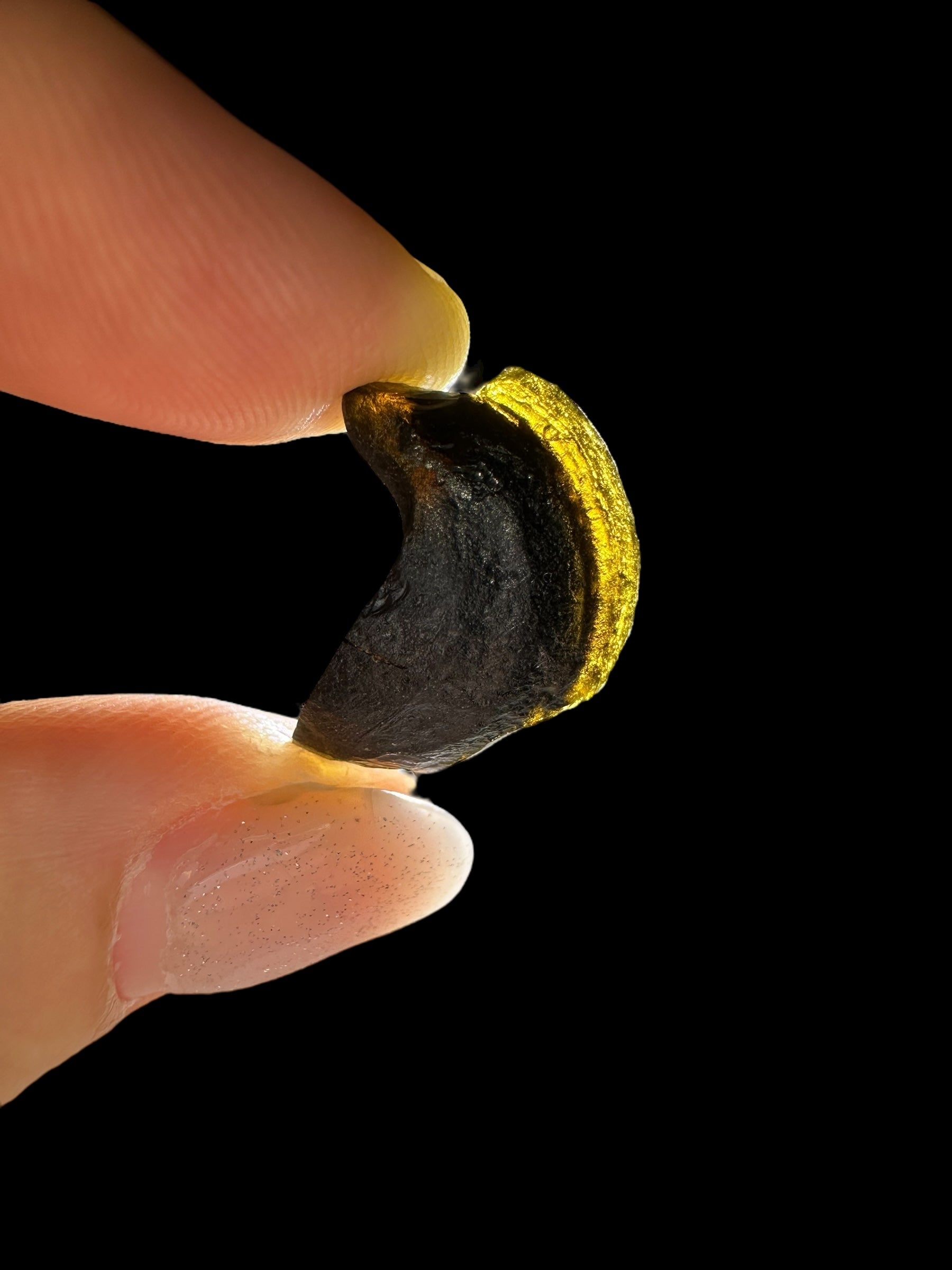 Australite "button" 2,2g – Kalgoorlie, Western Australia - AU119