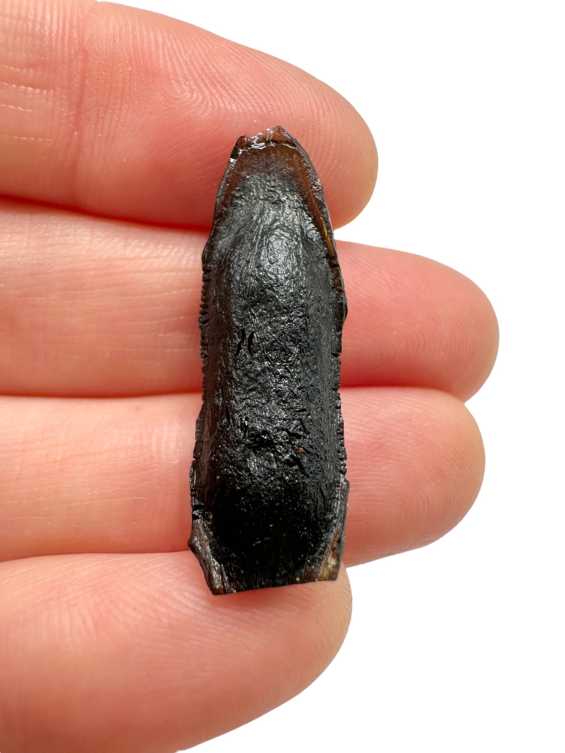 Australite "button" 2,1g – Kalgoorlie, Western Australia - AU120