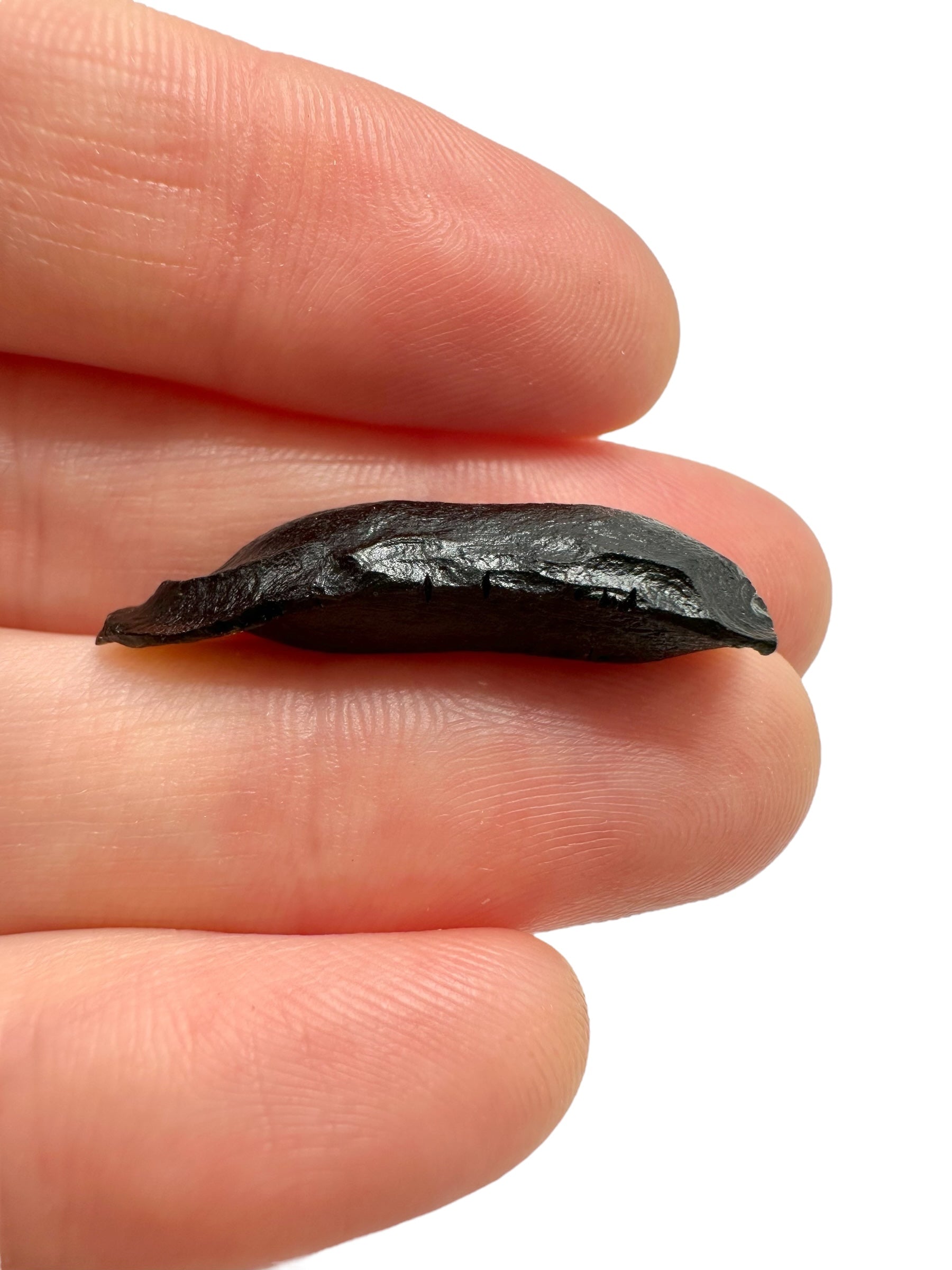 Australite "button" 2,1g – Kalgoorlie, Western Australia - AU120