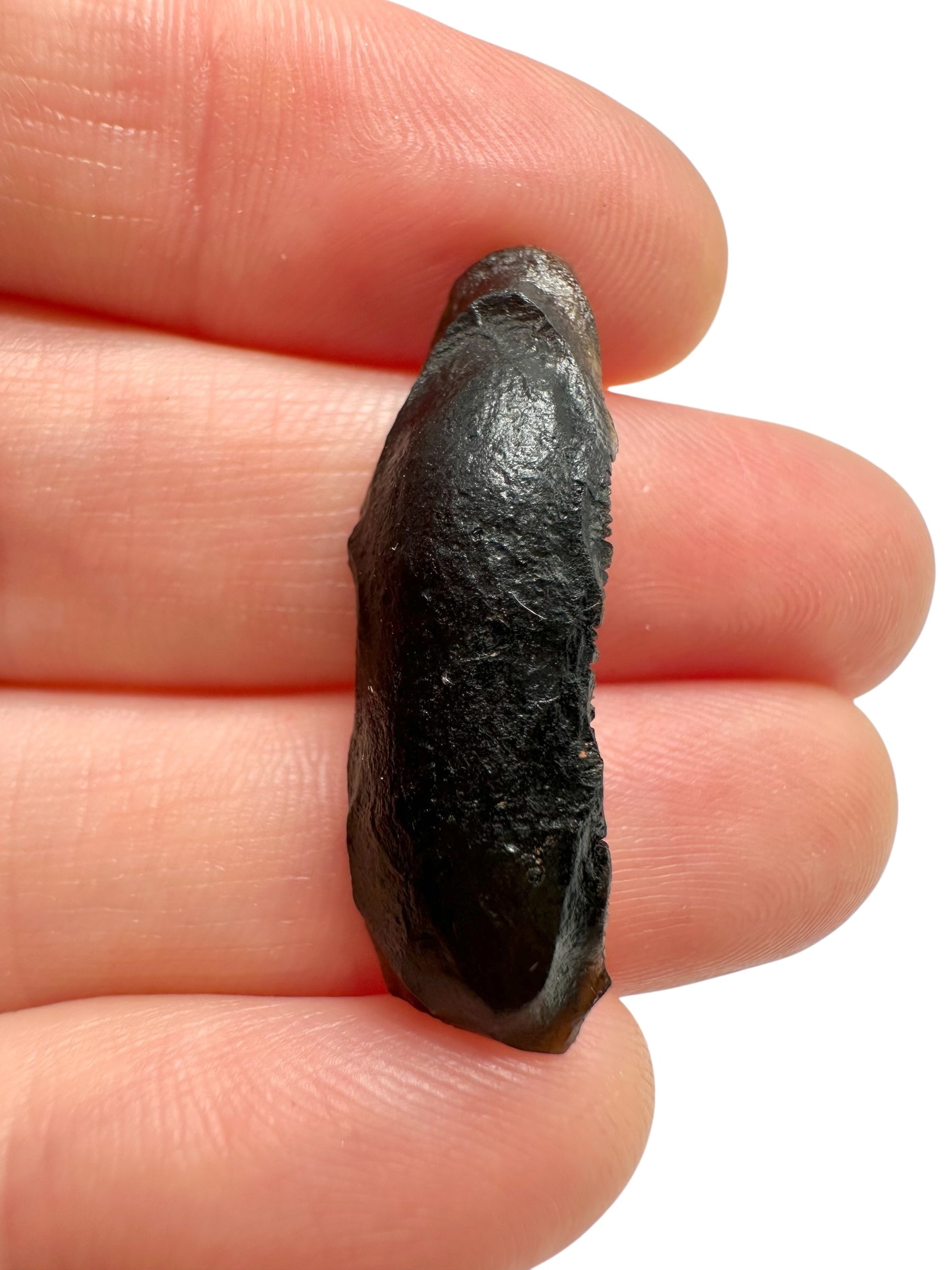 Australite "button" 2,1g – Kalgoorlie, Western Australia