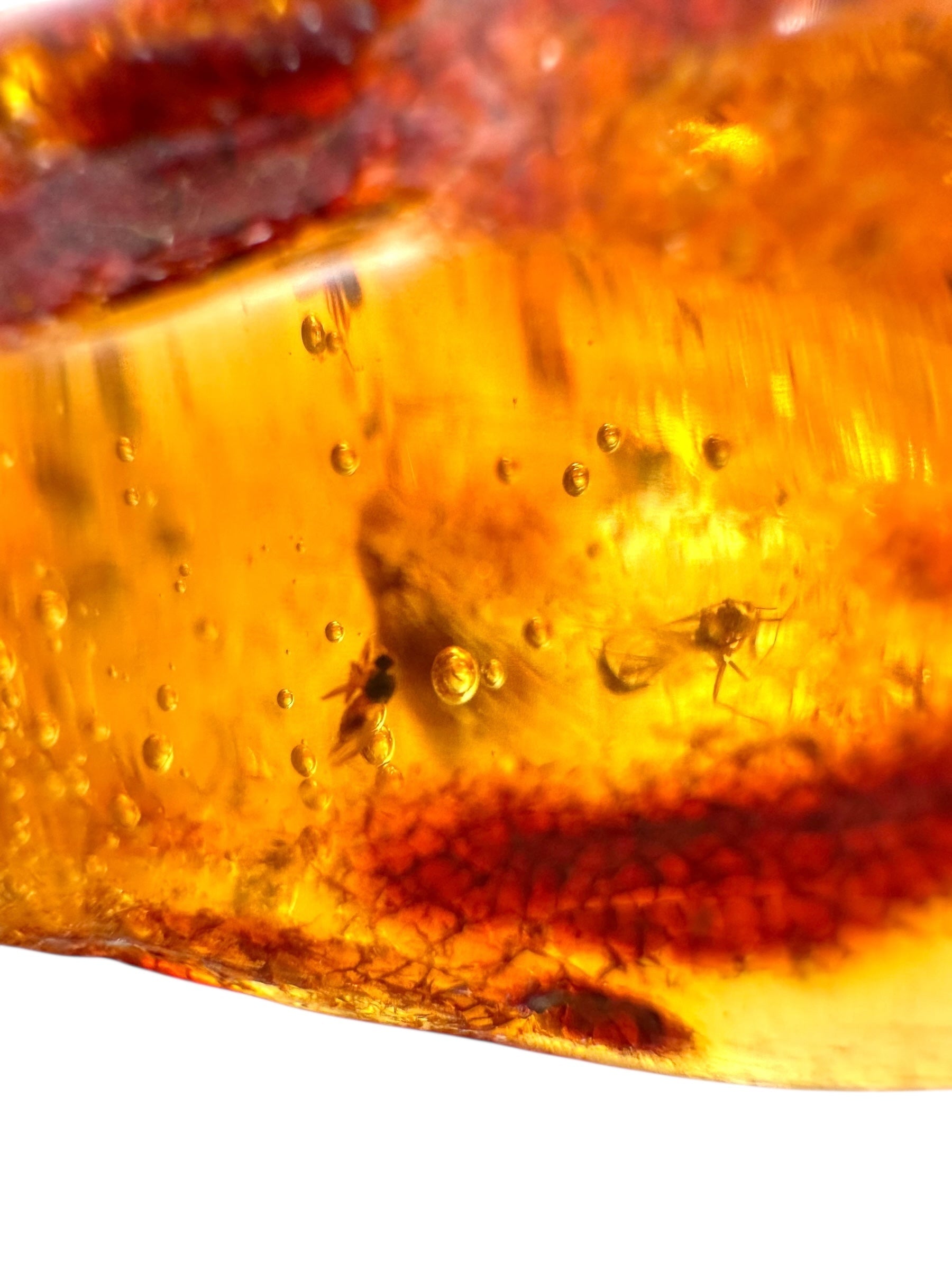 Insects in young amber (copal) 115,2g – Colombia - IK61