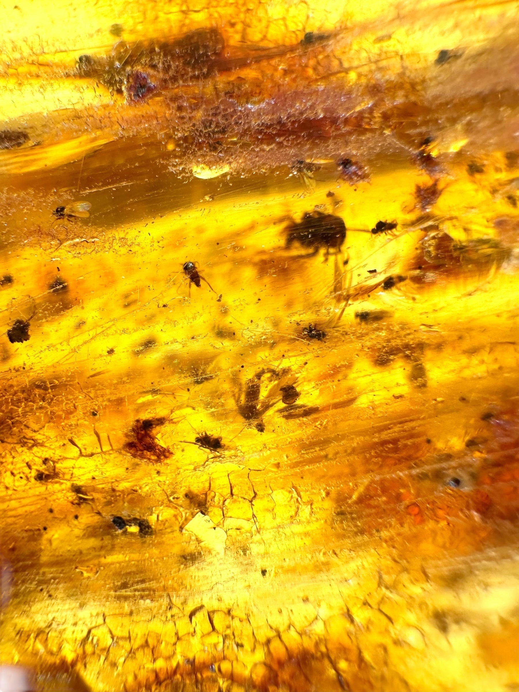 Insects in young amber (copal) 115,2g – Colombia - IK61