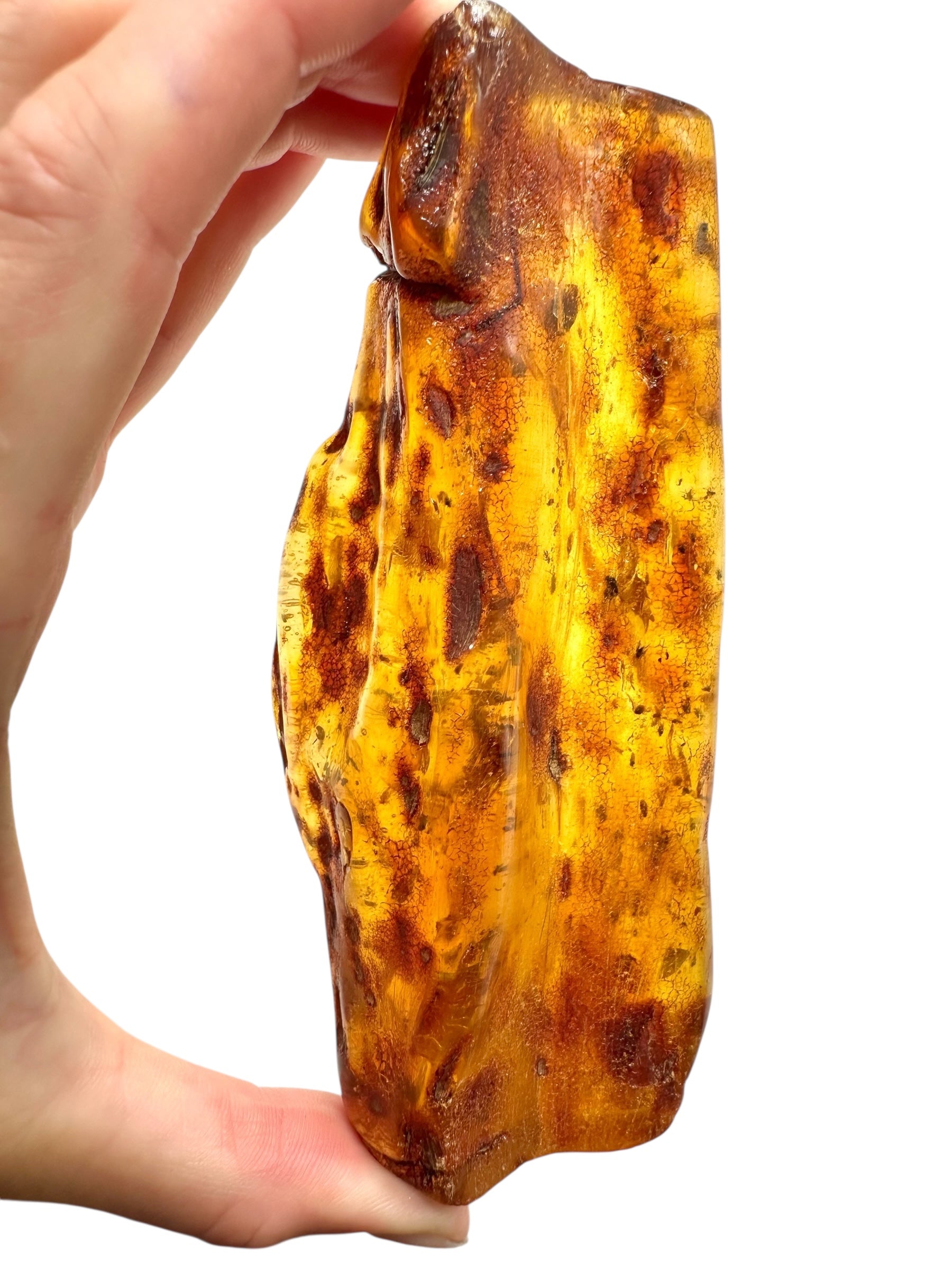 Insects in young amber (copal) 115,2g – Colombia