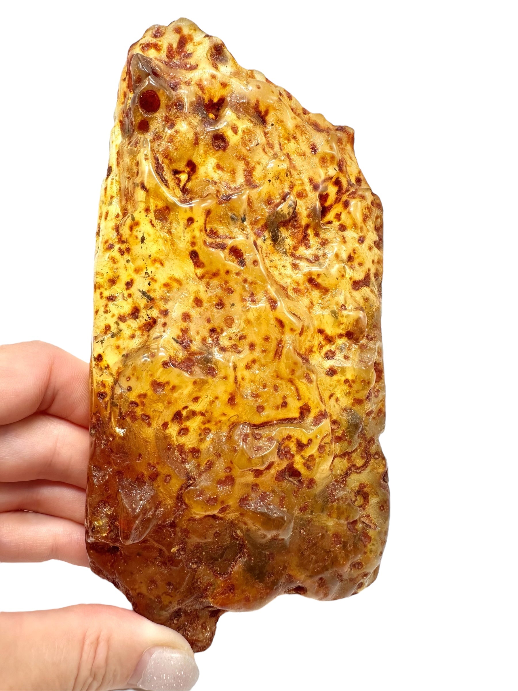 Insects in young amber (copal) 234,7g – Colombia - IK62