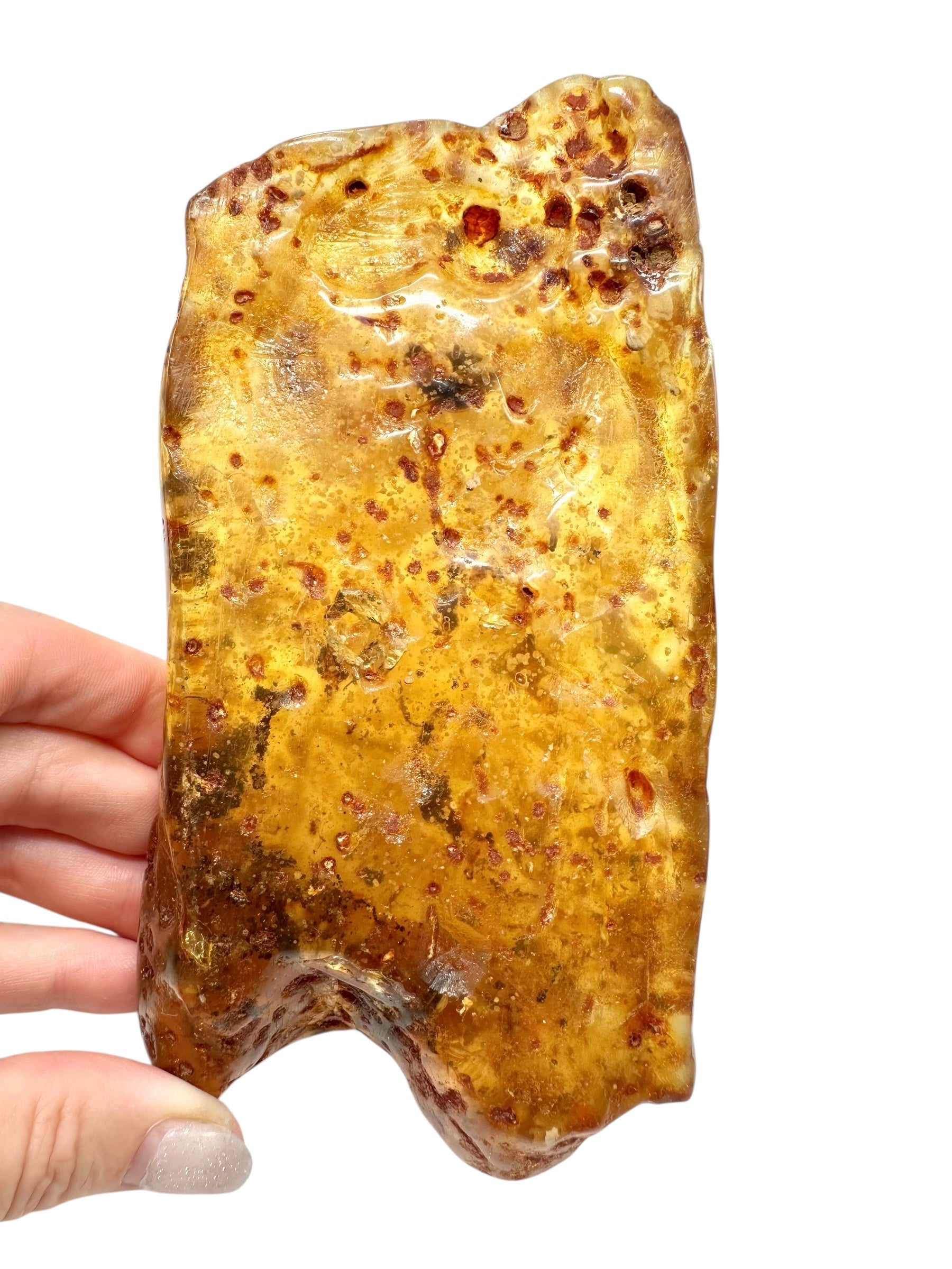 Insects in young amber (copal) 234,7g – Colombia