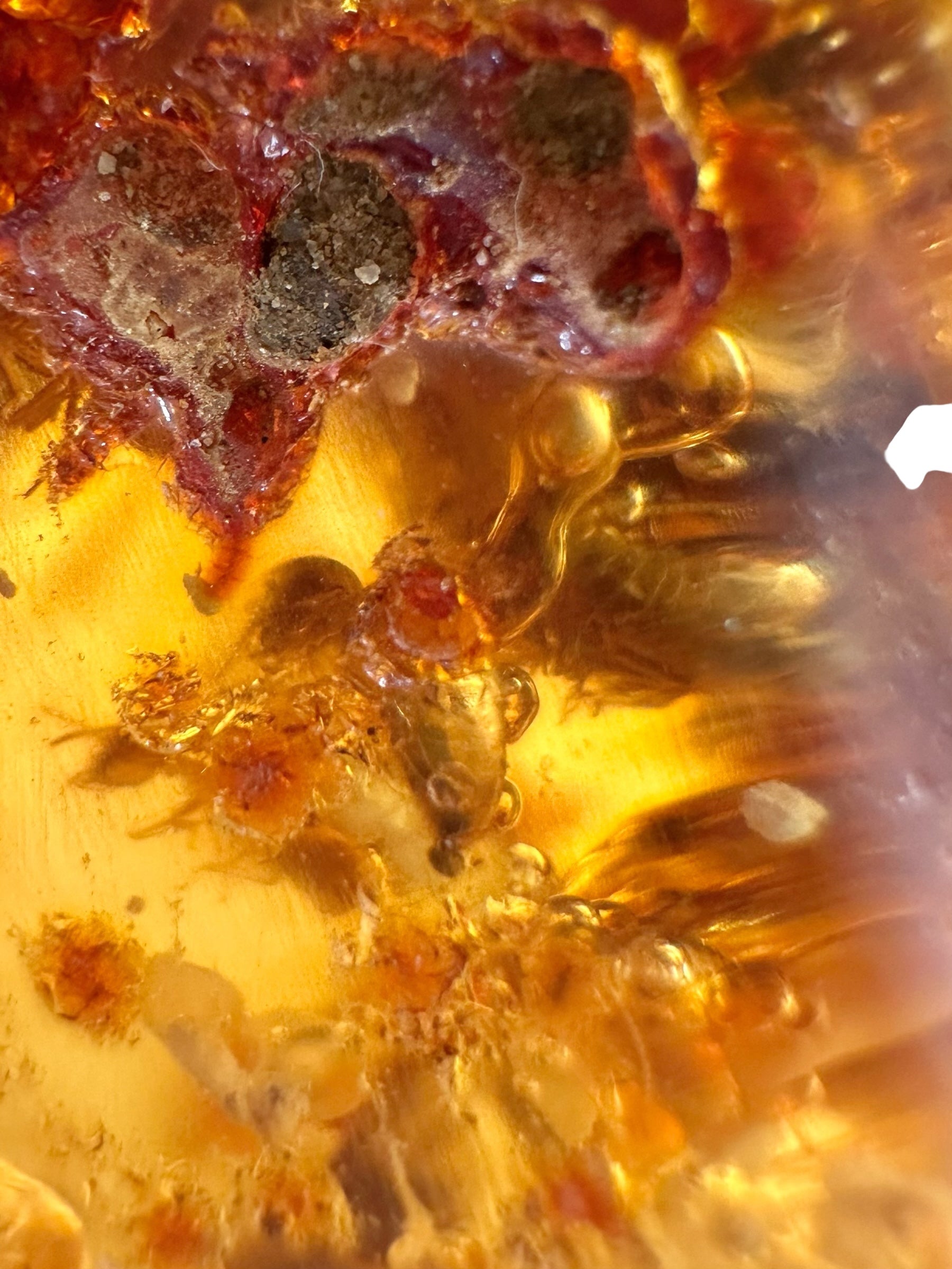 Insects in young amber (copal) 150,3g – Colombia - IK63