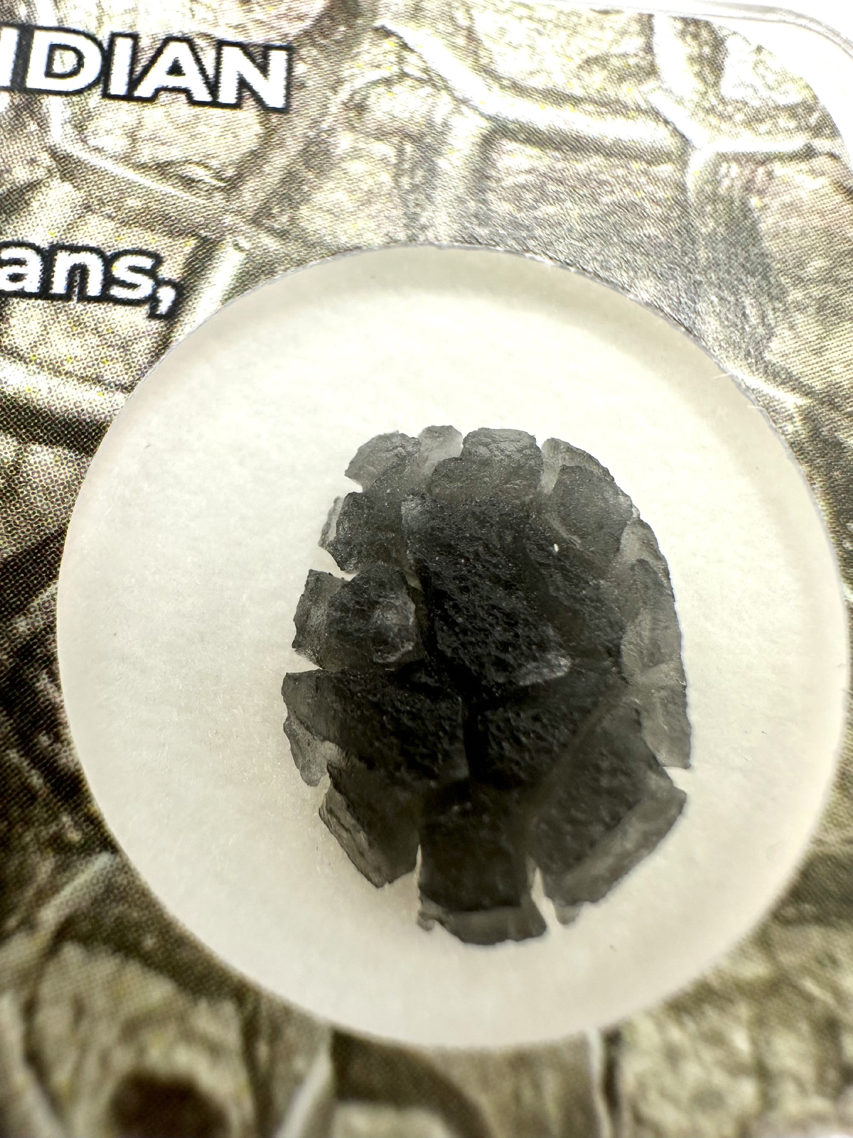 Slovak obsidian – Hedgehog 0,6g – in box - OBJ203