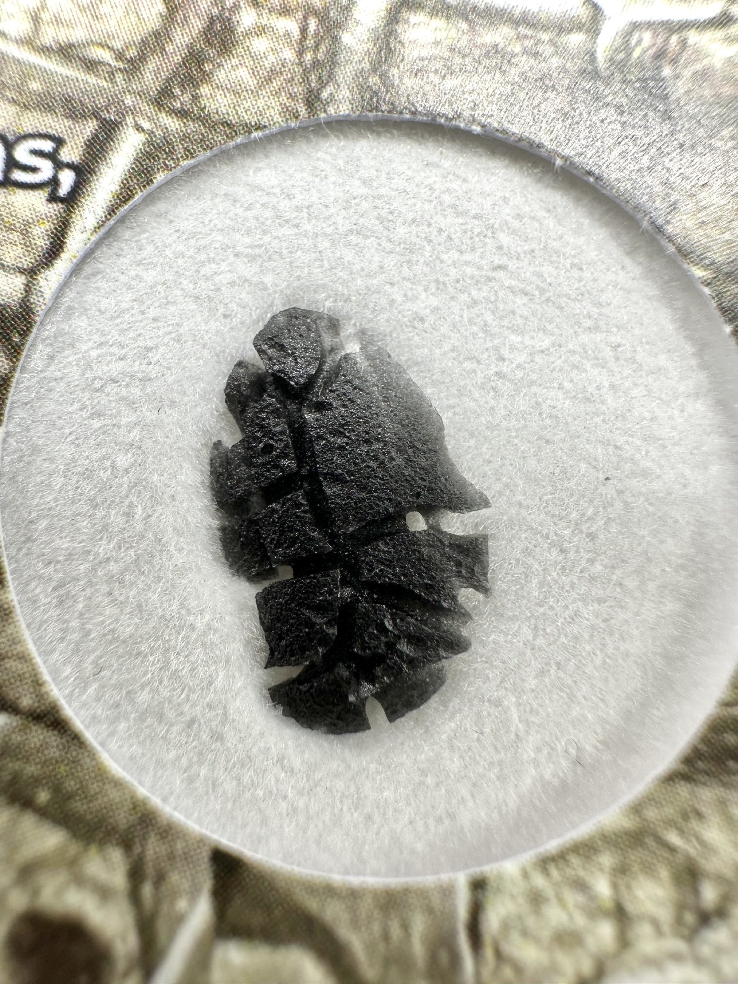 Slovak obsidian – Hedgehog 0,1g – in box - OBJ206