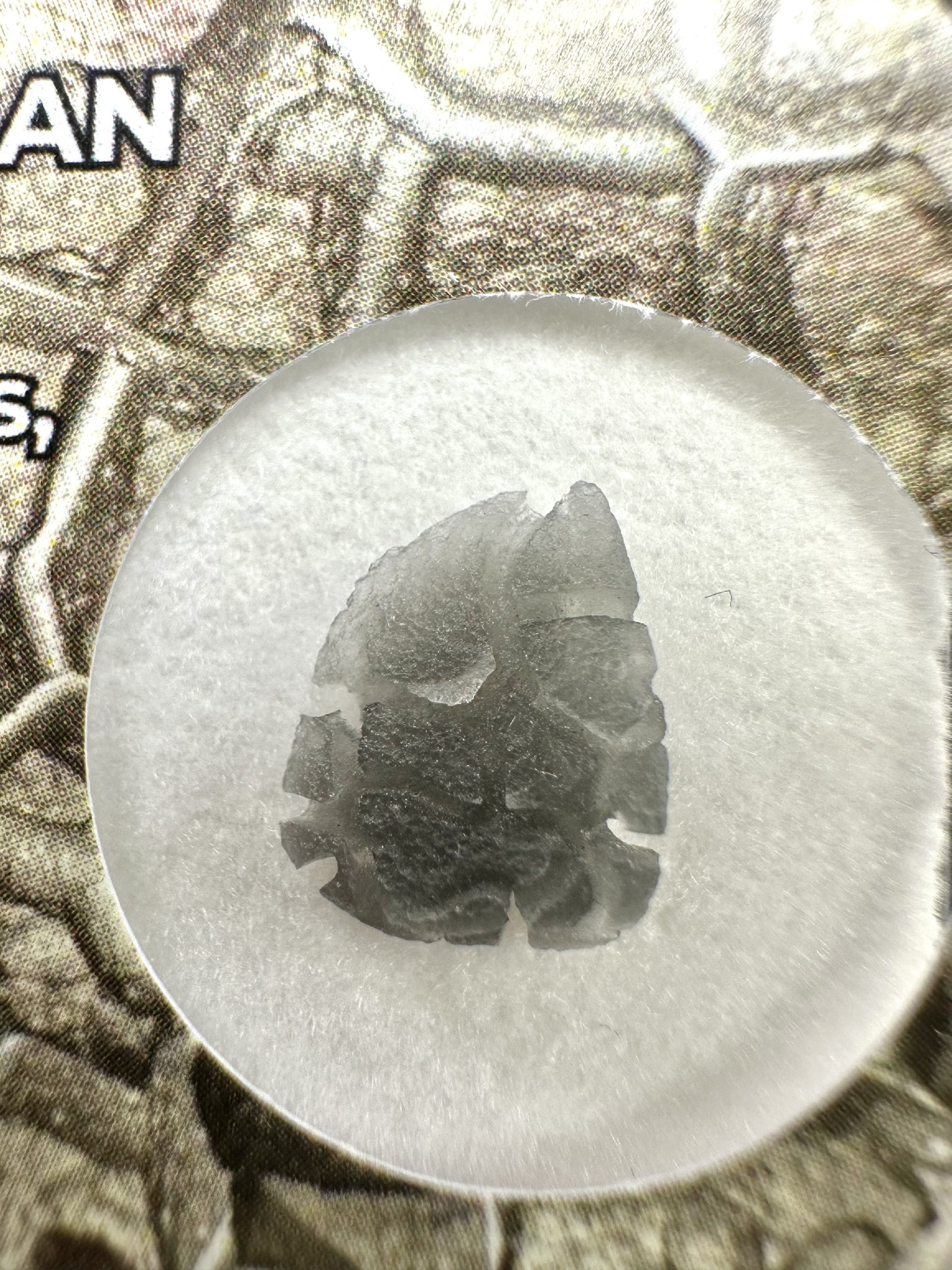 Slovak obsidian – Hedgehog 0,2g – in box - OBJ209