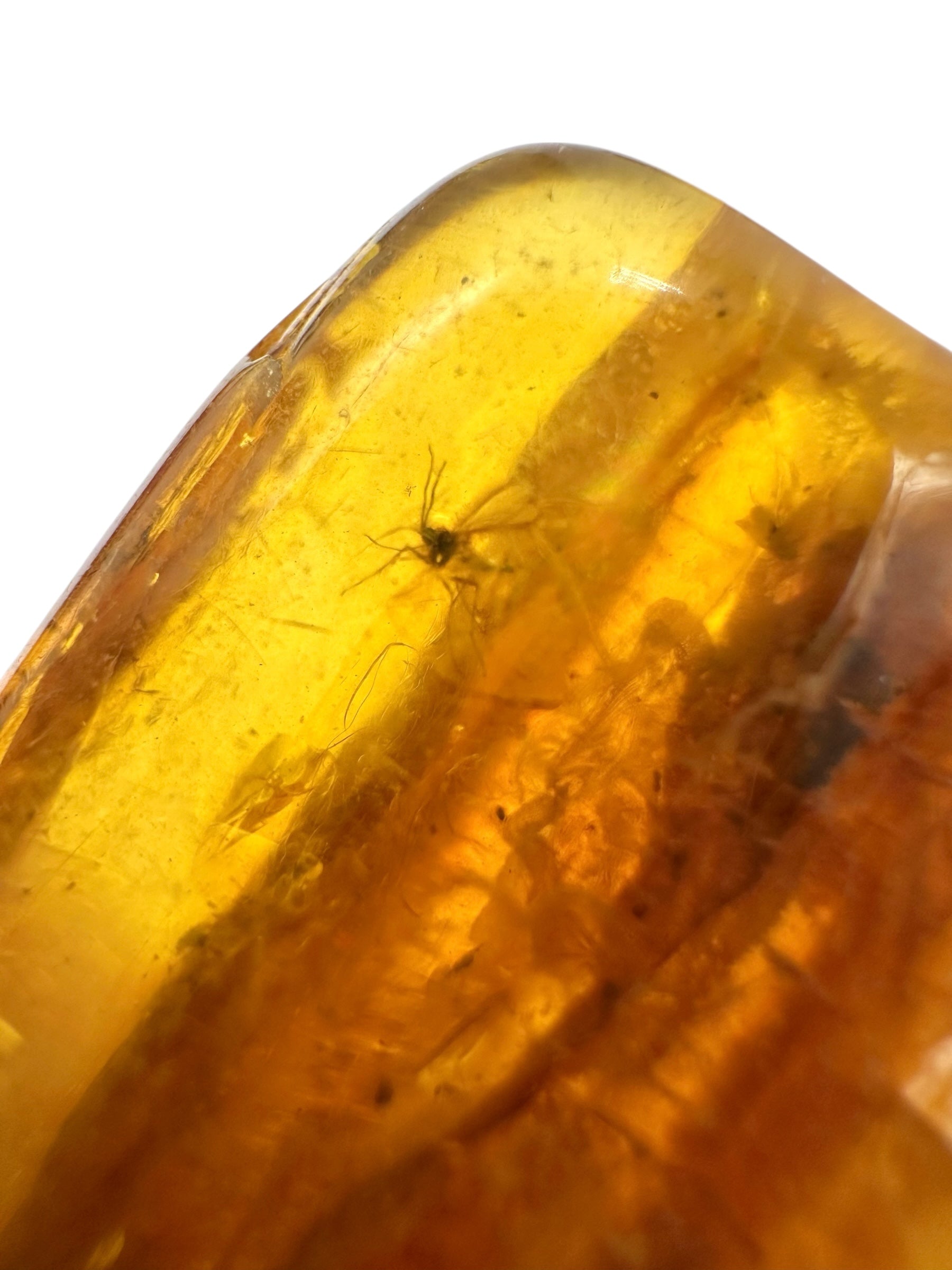 Insects in amber – Lithuania – 11,4g - IJ153