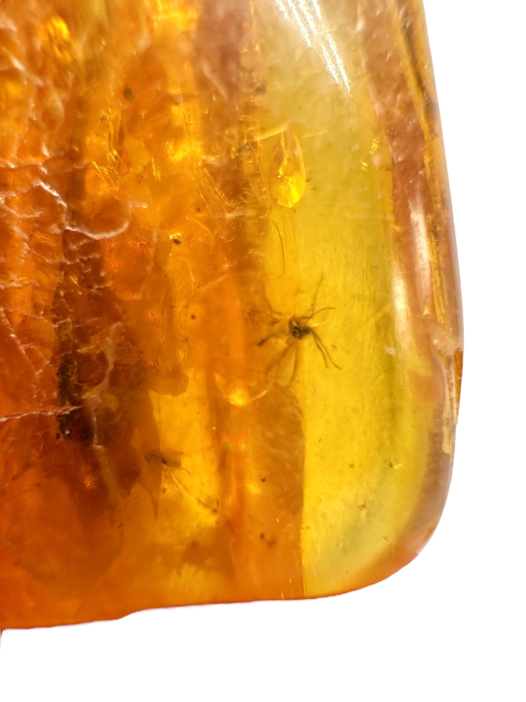 Insects in amber – Lithuania – 11,4g - IJ153