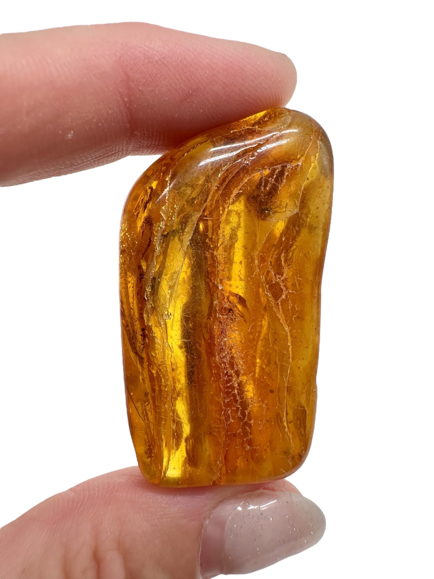 Insects in amber – Lithuania – 11,4g - IJ153