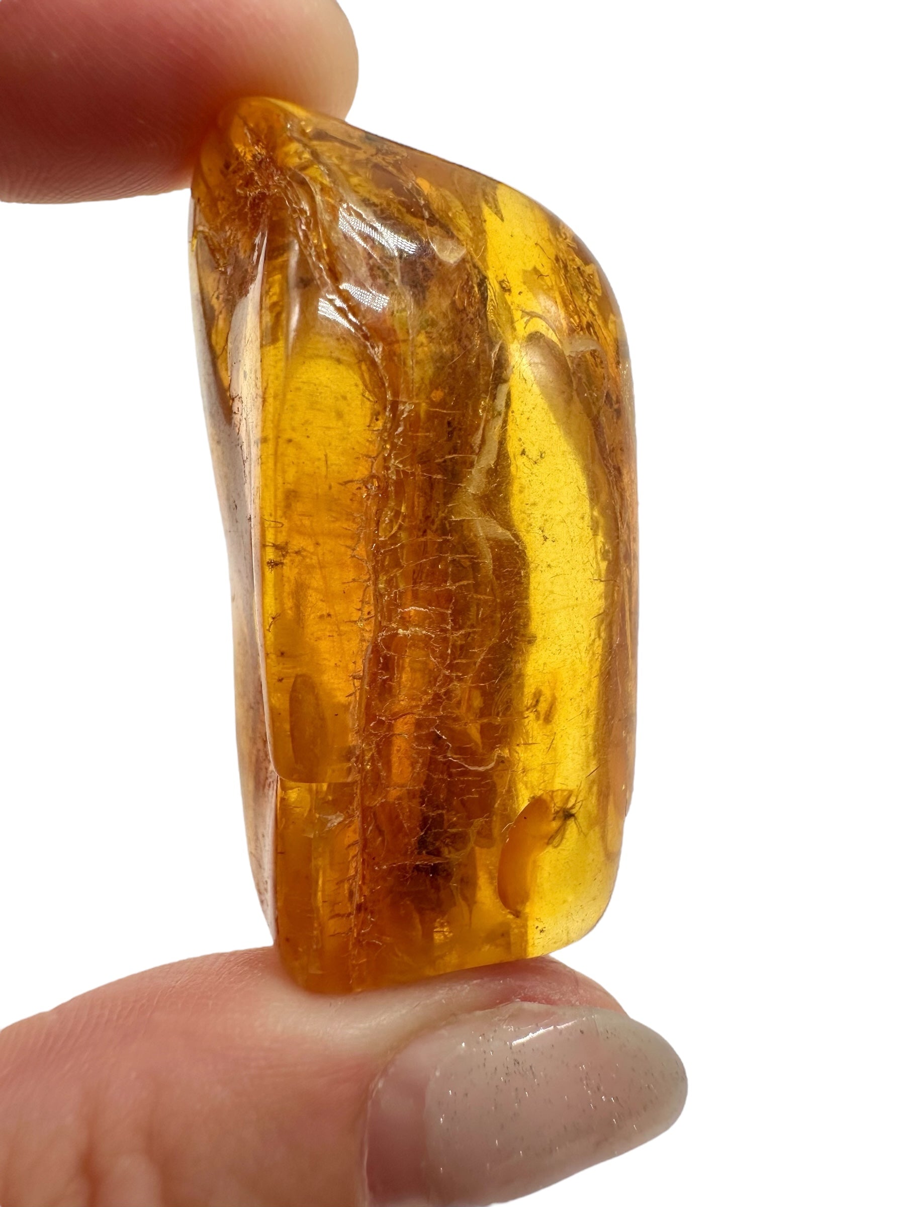 Insects in amber – Lithuania – 11,4g