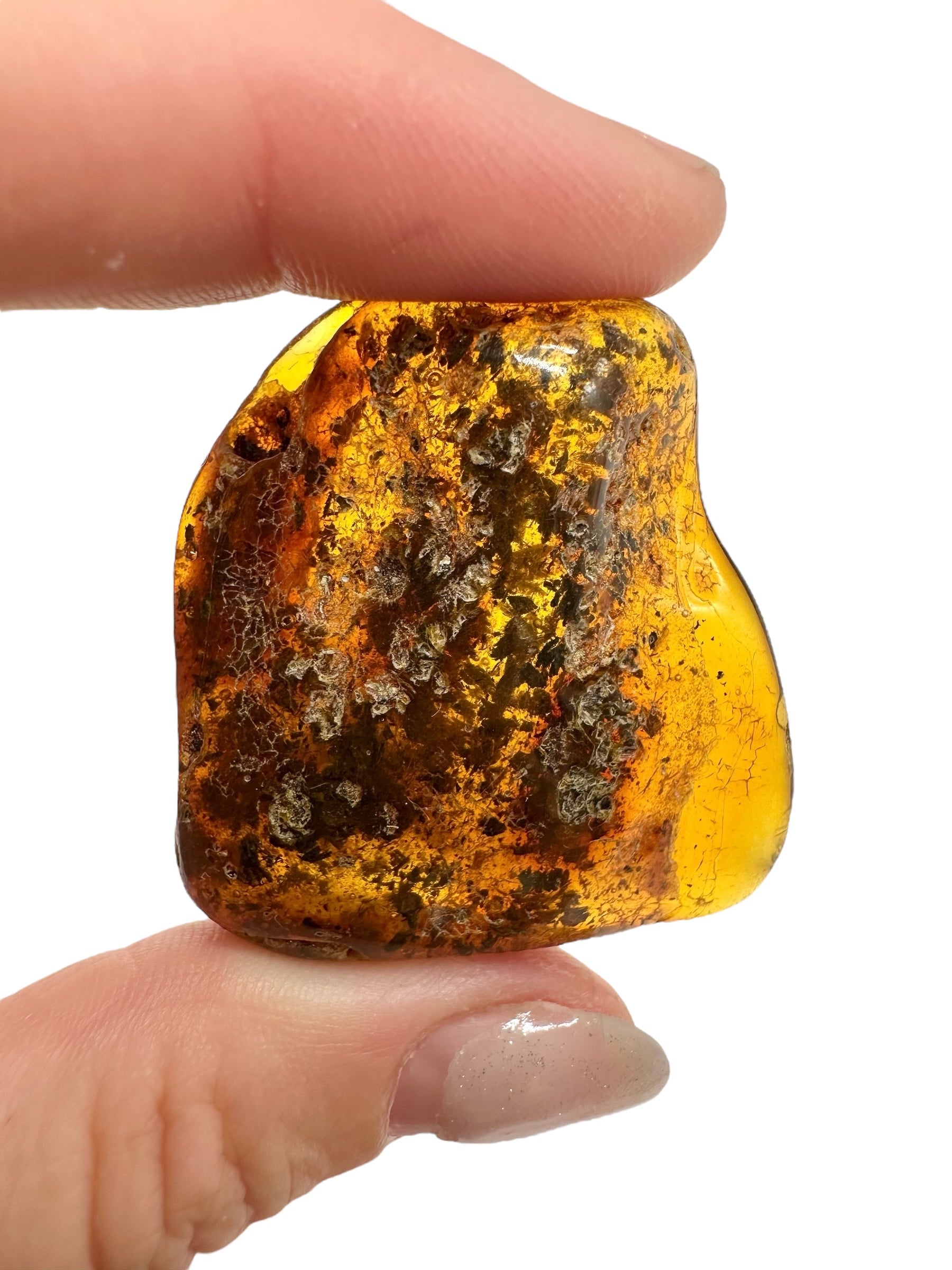 Insects in amber – Lithuania – 10,2g - IJ154