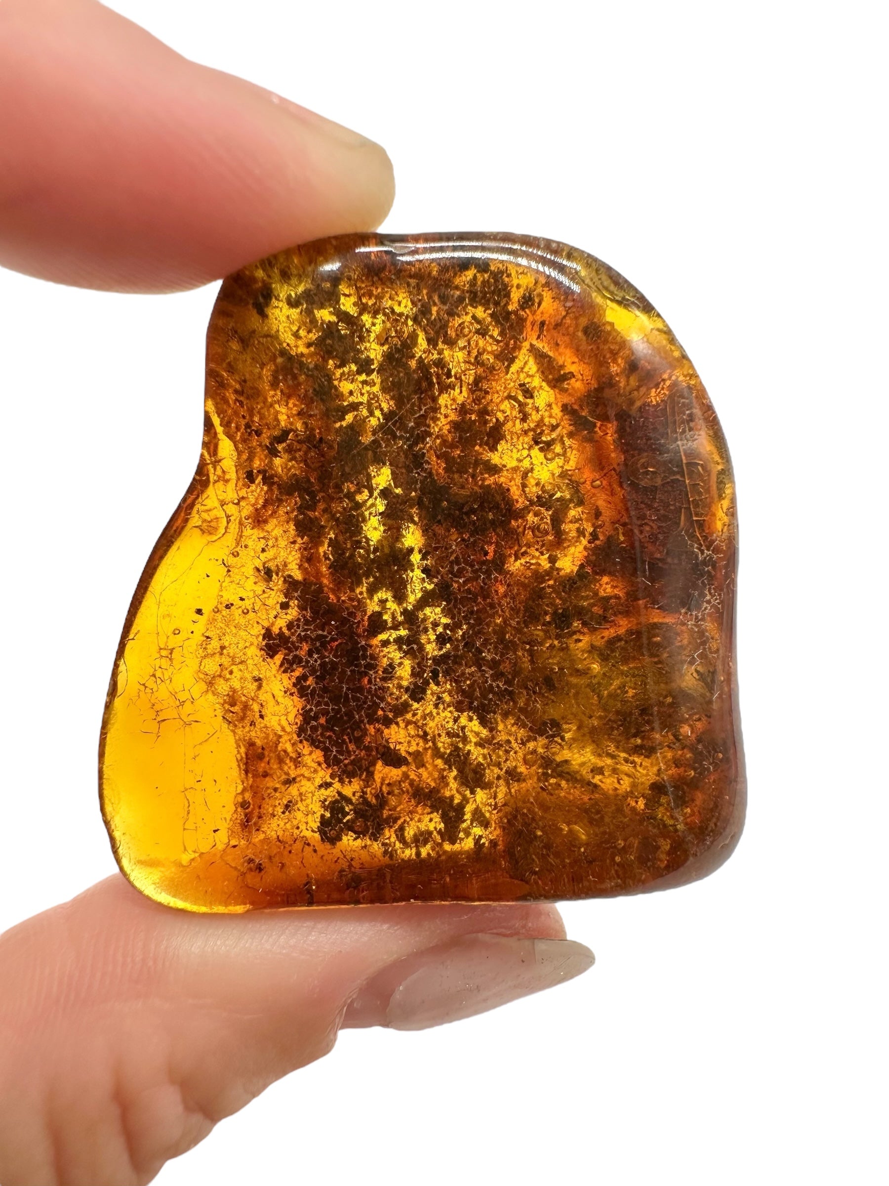 Insects in amber – Lithuania – 10,2g