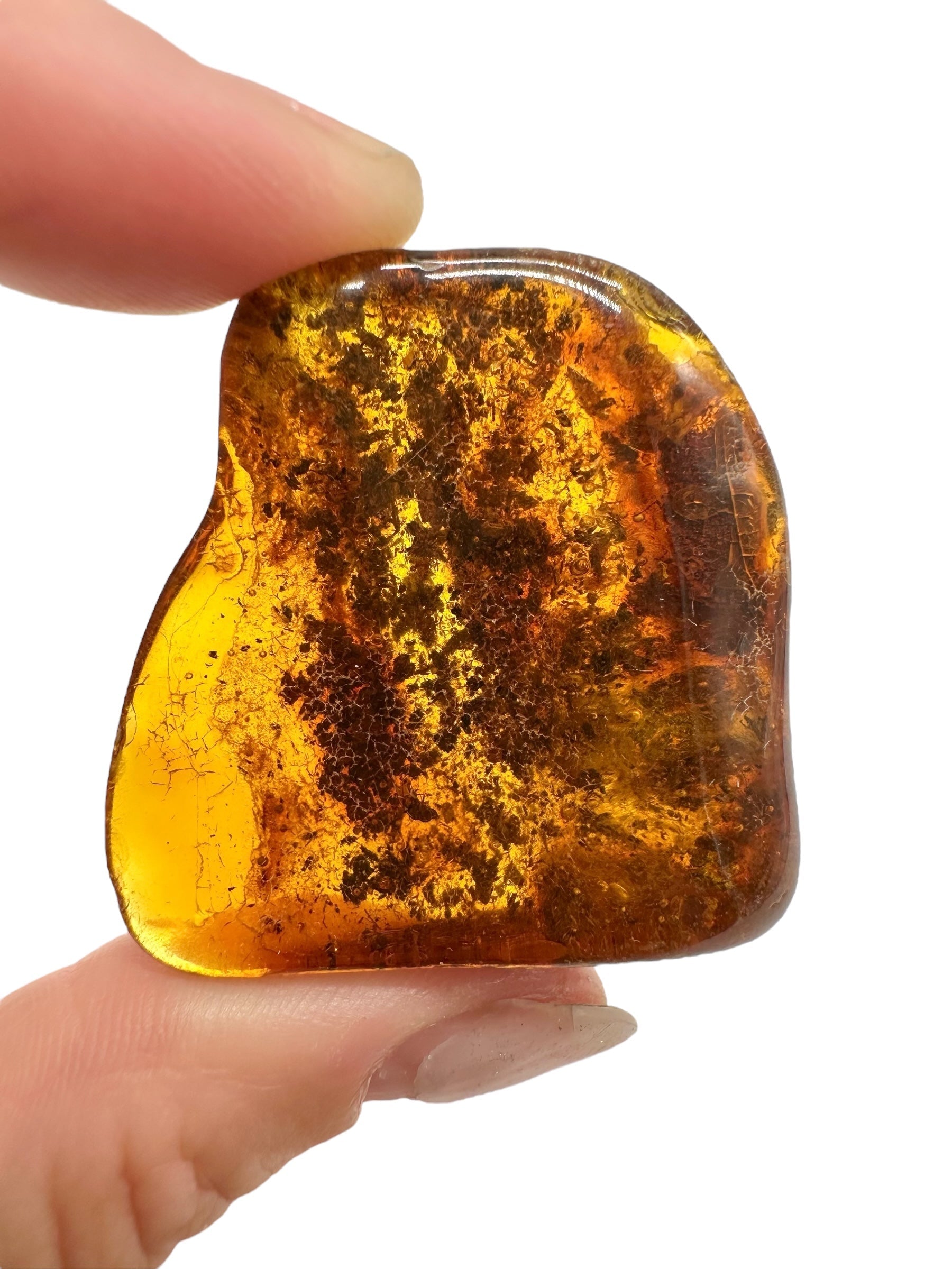 Insects in amber – Lithuania – 10,2g