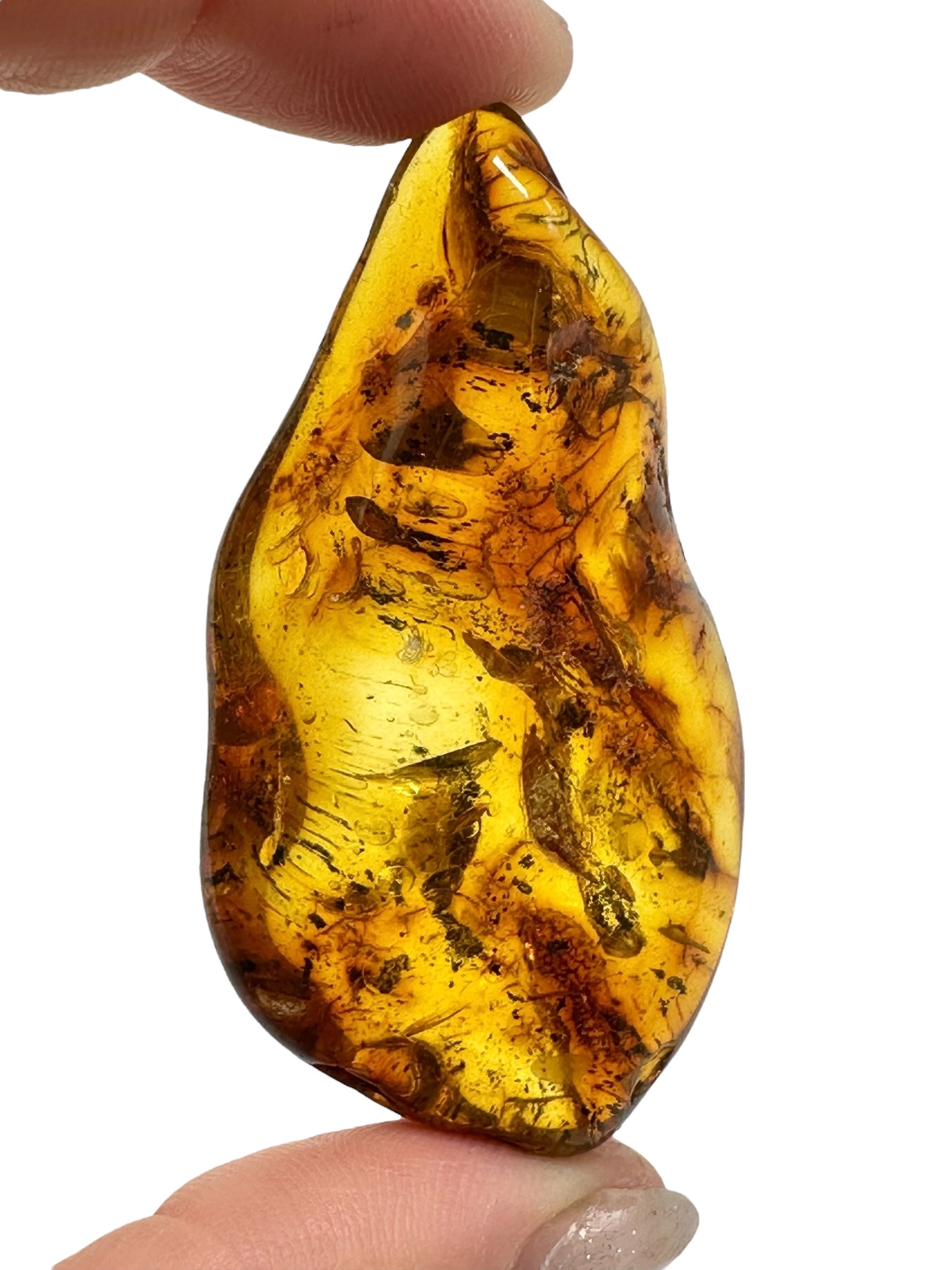 Insects in amber – Lithuania – 12g - IJ155