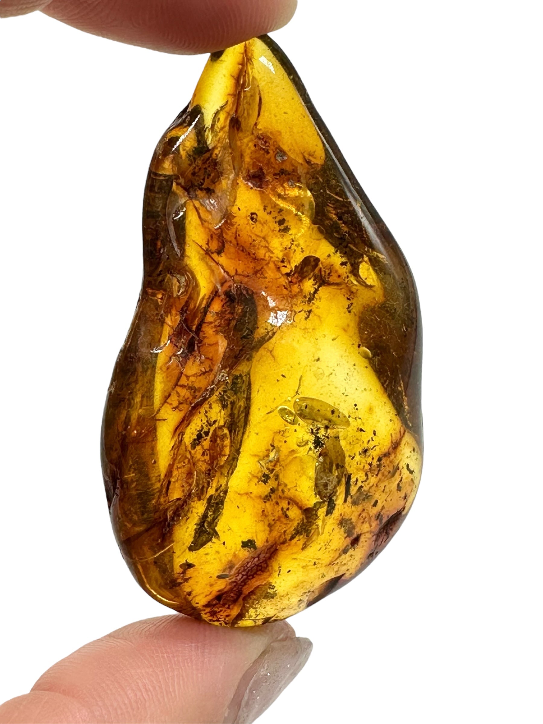 Insects in amber – Lithuania – 12g