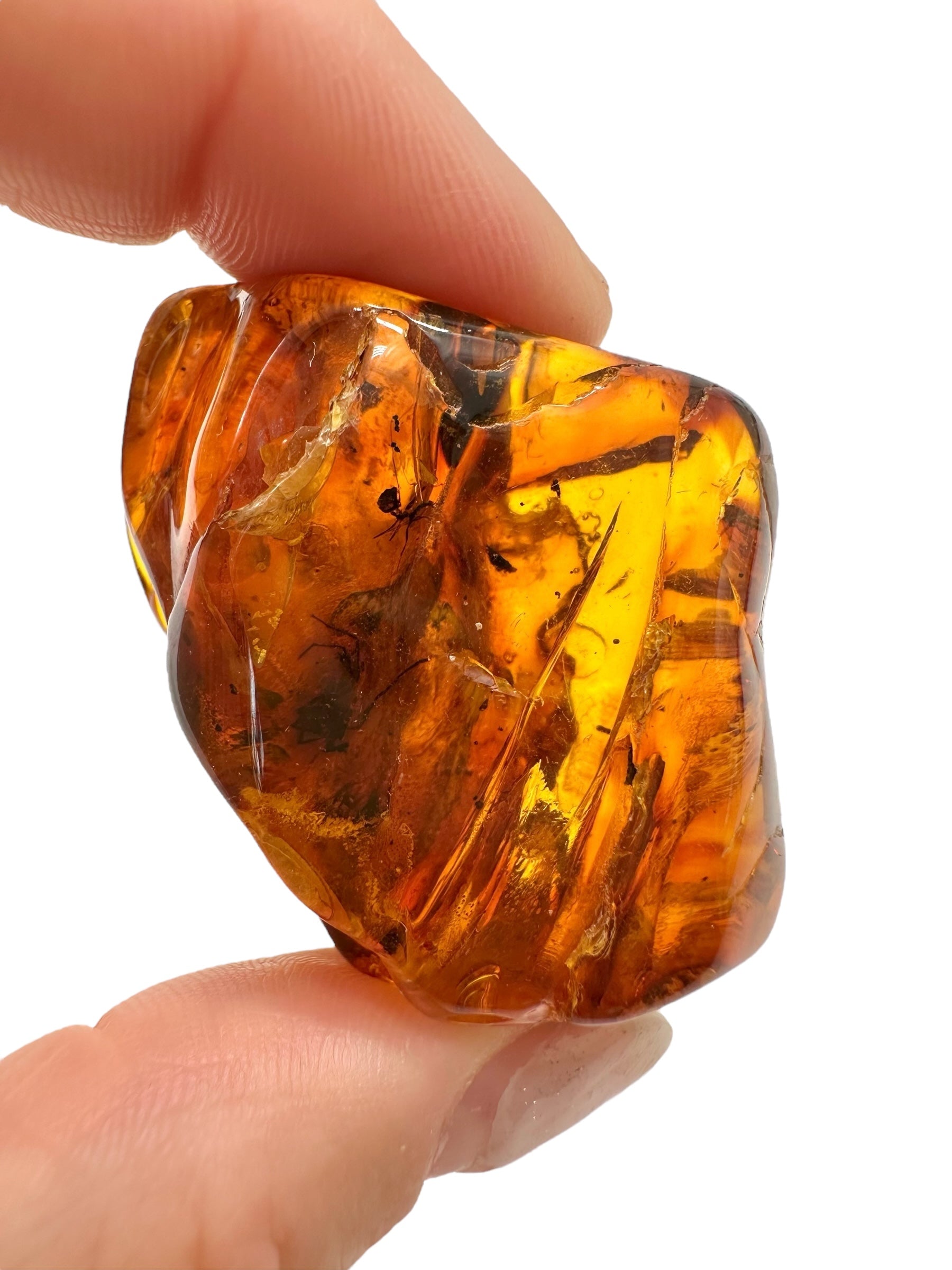 Insects in amber – Lithuania – 19,1g