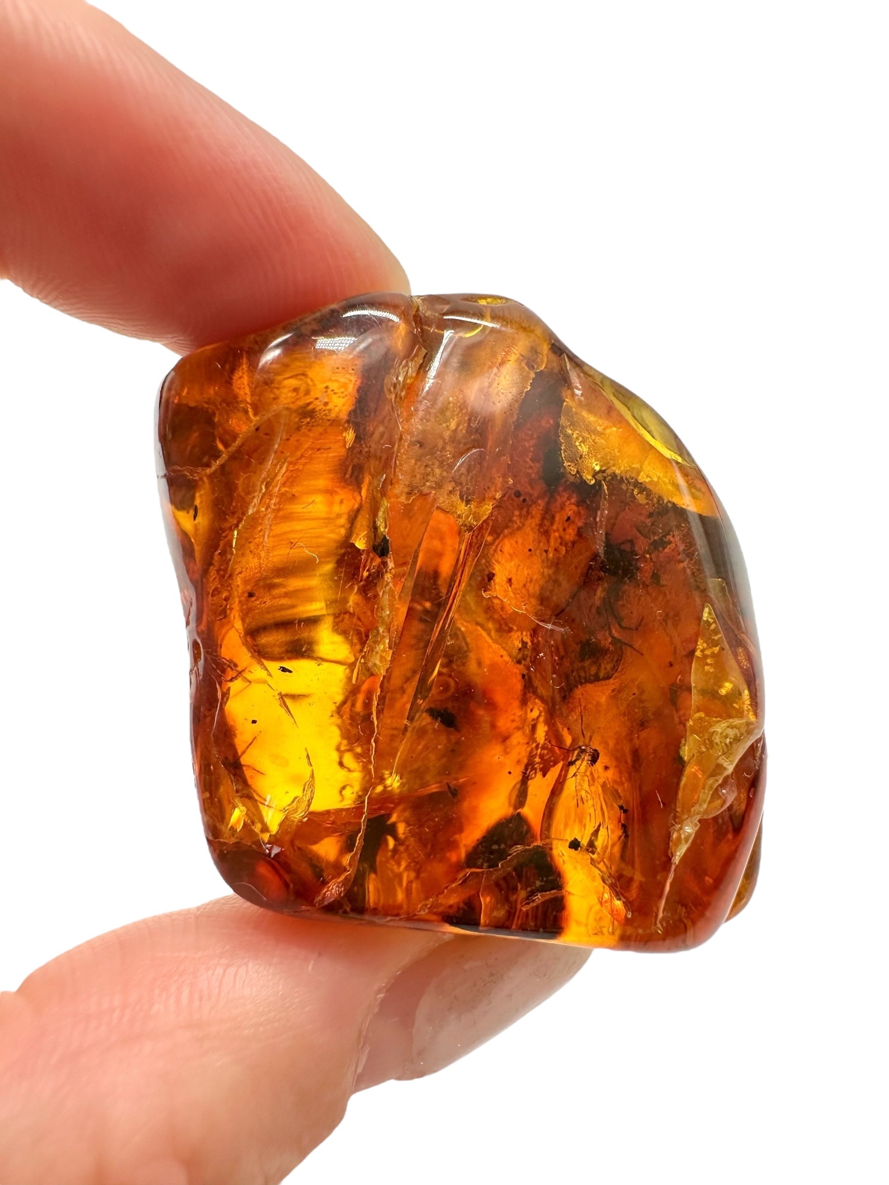 Insects in amber – Lithuania – 19,1g - IJ156