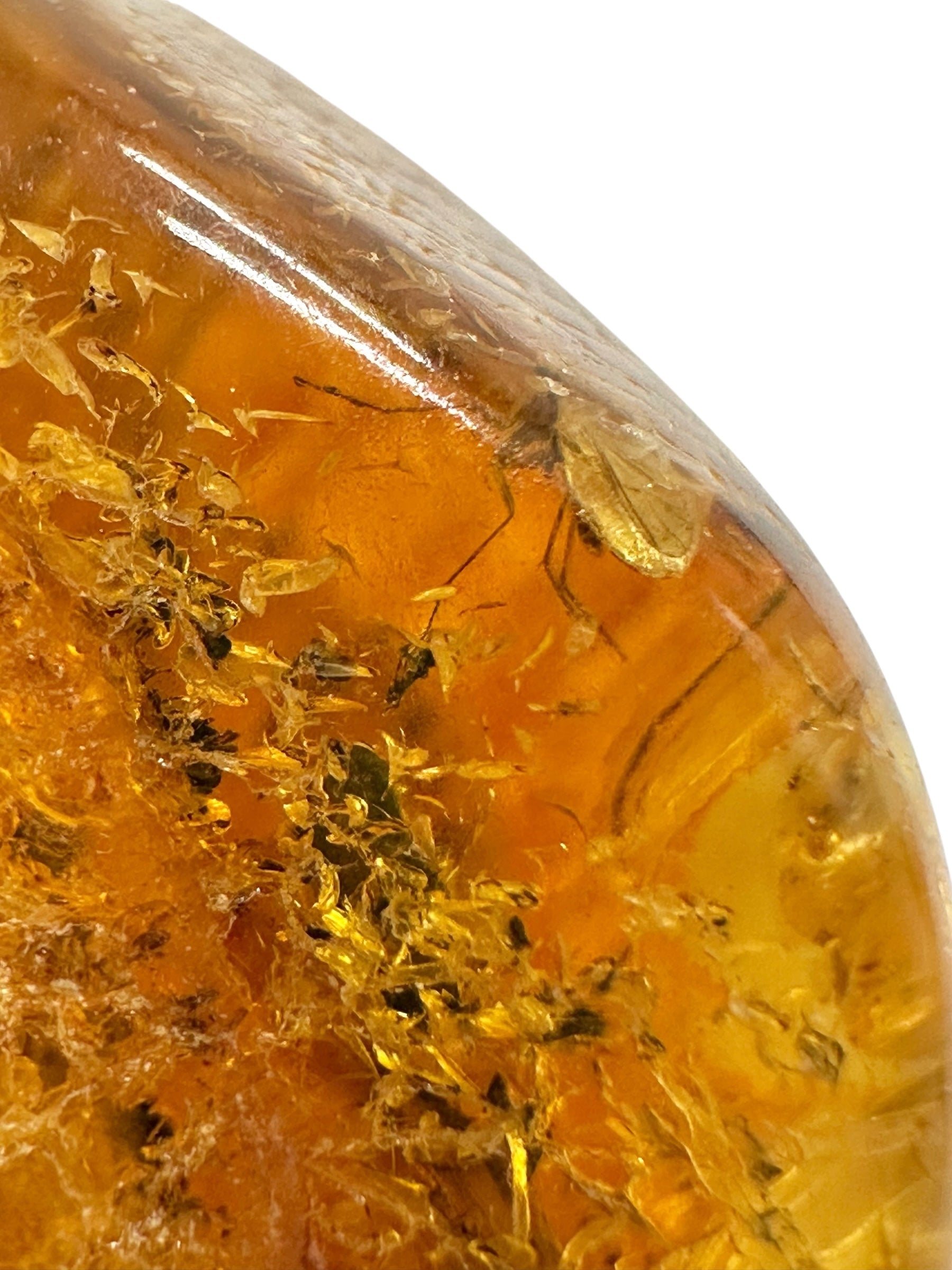 Insects in amber – Lithuania – 15,7g - IJ157