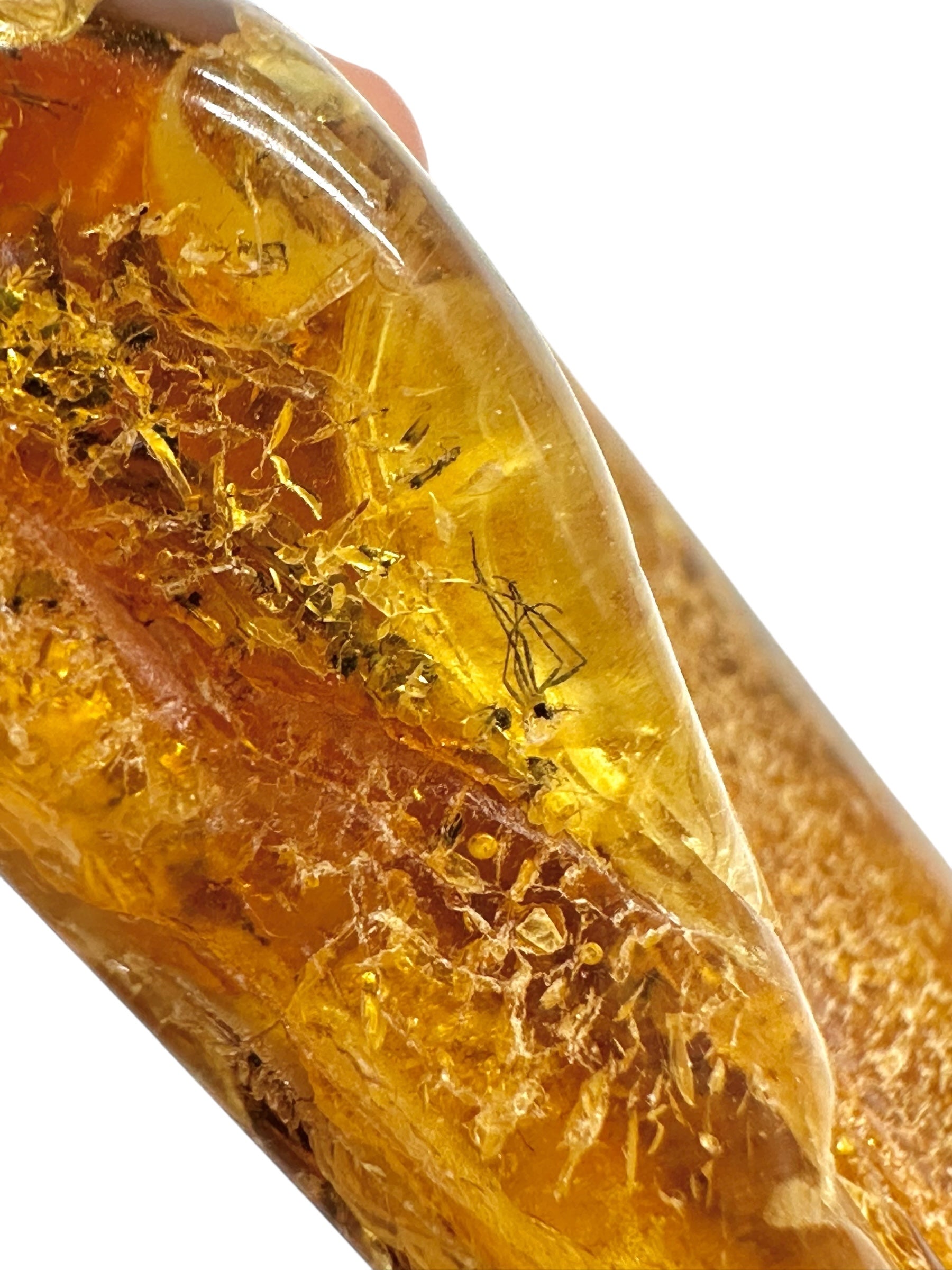 Insects in amber – Lithuania – 15,7g - IJ157