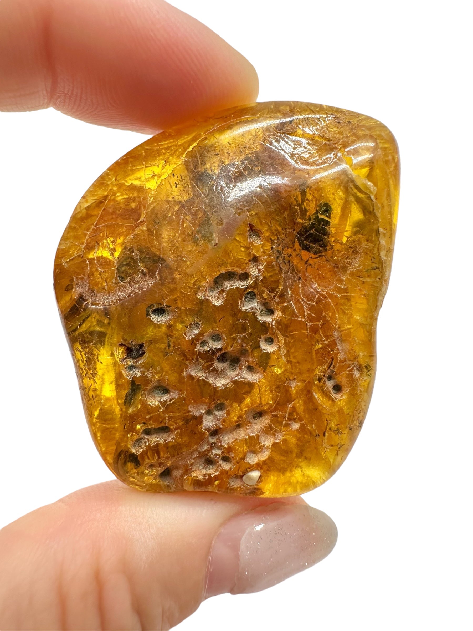 Insects in amber – Lithuania – 15,7g - IJ157