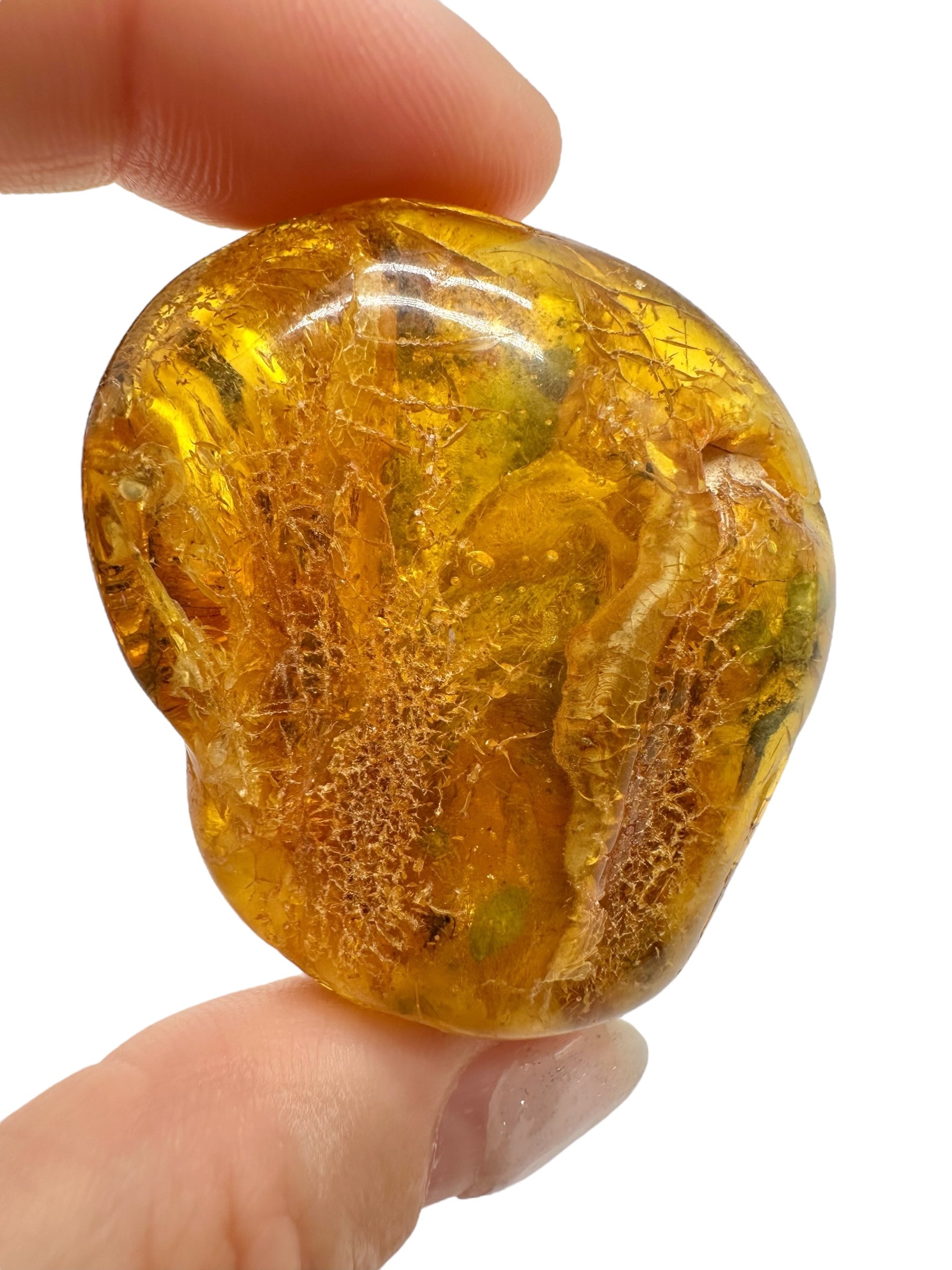 Insects in amber – Lithuania – 15,7g