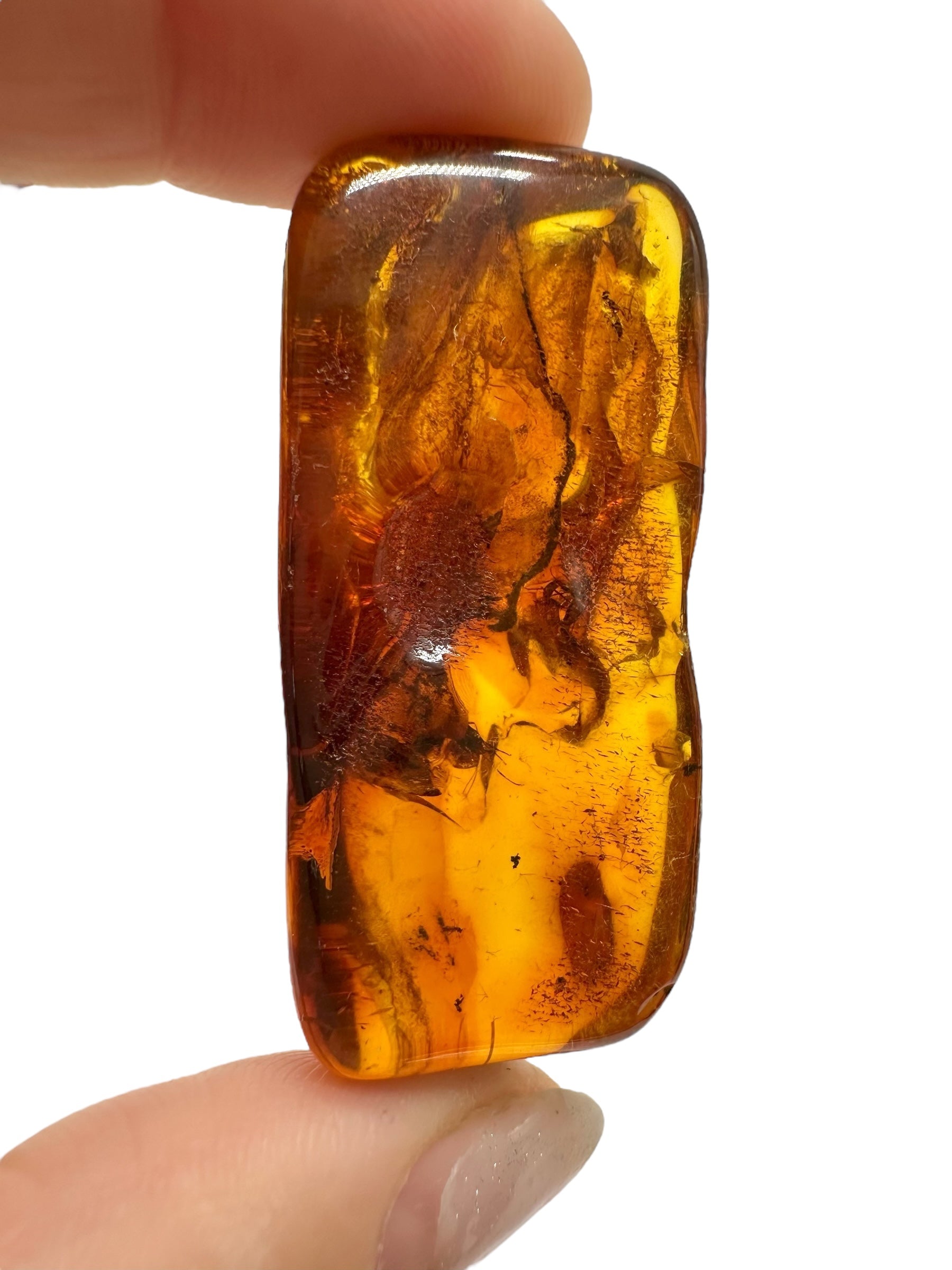 Insects in amber – Lithuania – 9,9g - IJ158