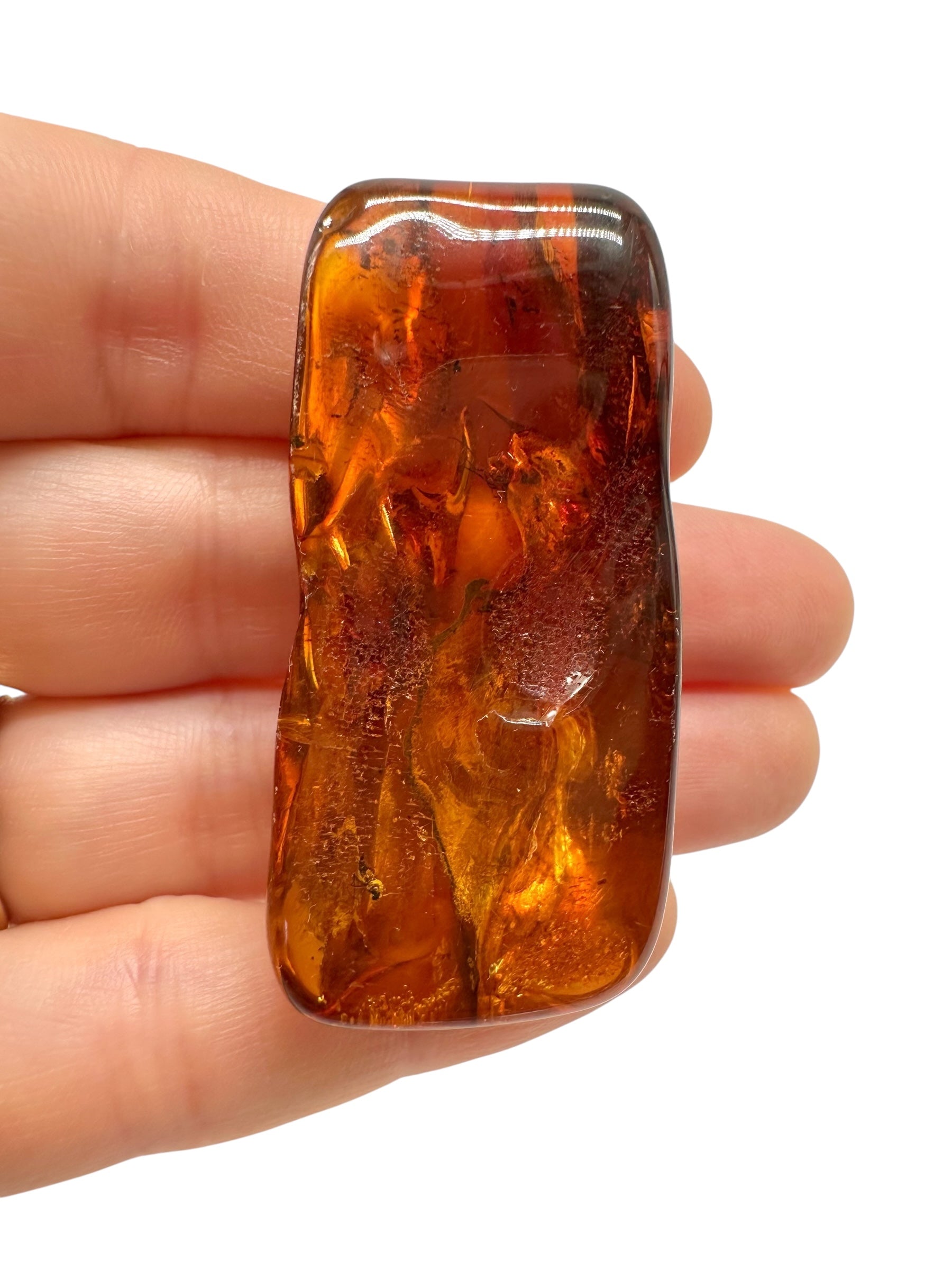Insects in amber – Lithuania – 9,9g - IJ158