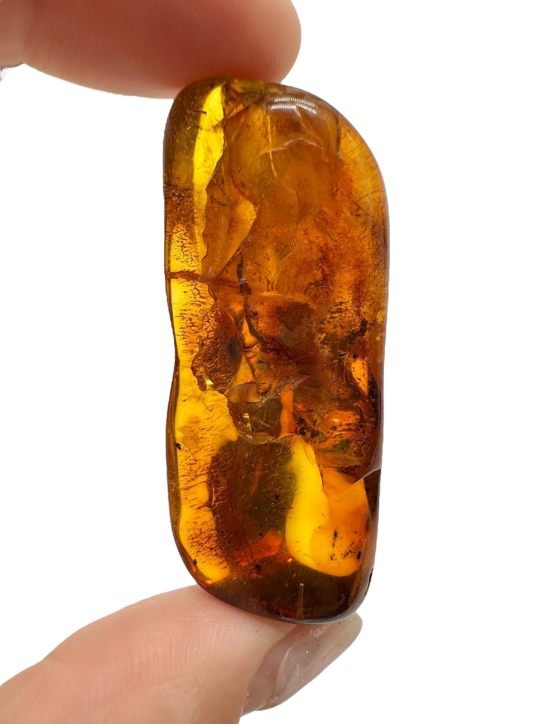 Insects in amber – Lithuania – 9,9g - IJ158