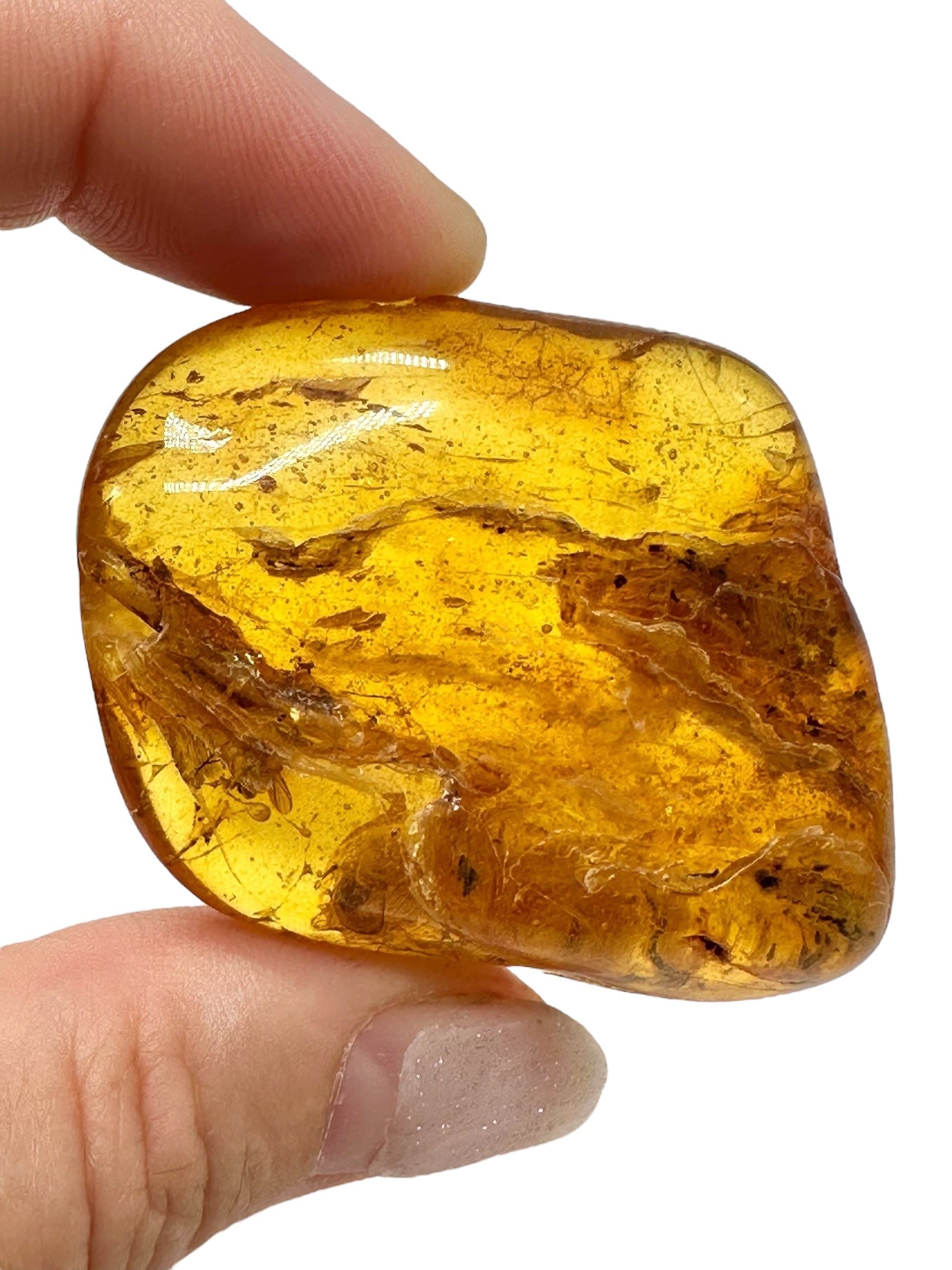 Insects in amber – Lithuania – 12,1g - IJ159
