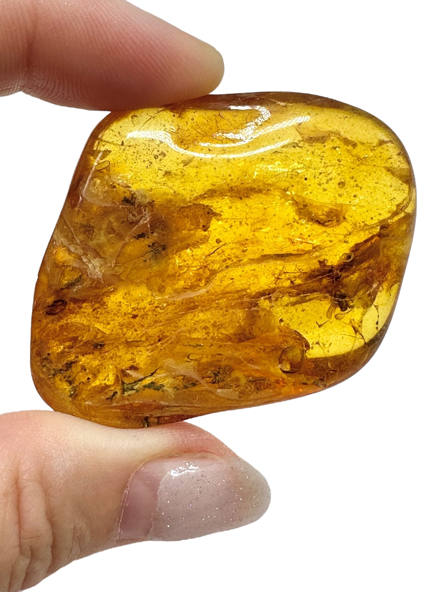 Insects in amber – Lithuania – 12,1g