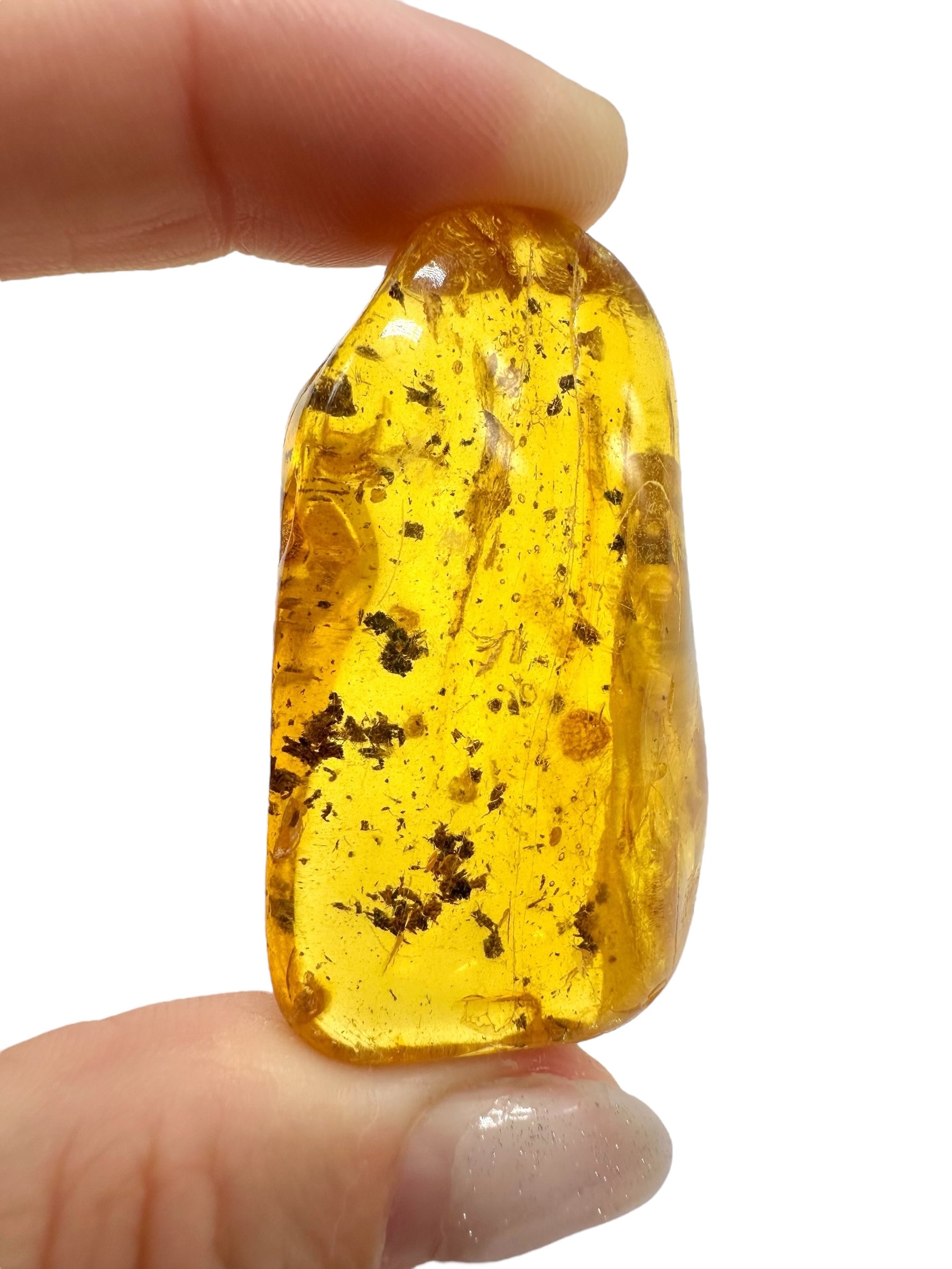Amber 12,2g – Lithuania - JN490