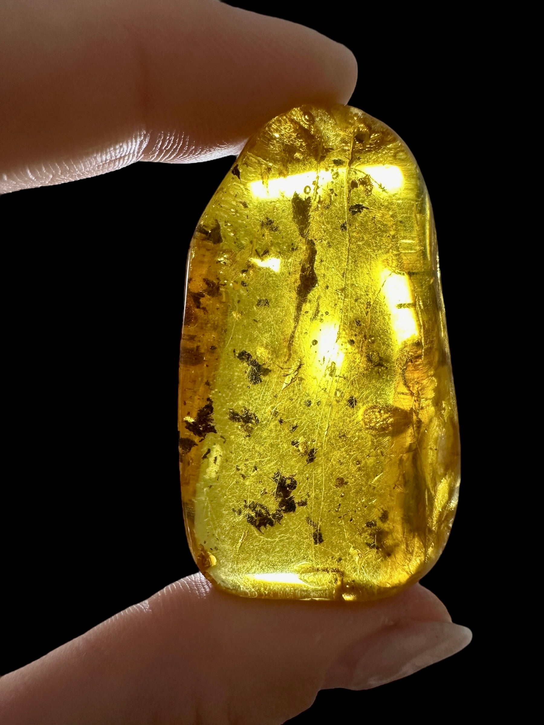Amber 12,2g – Lithuania - JN490