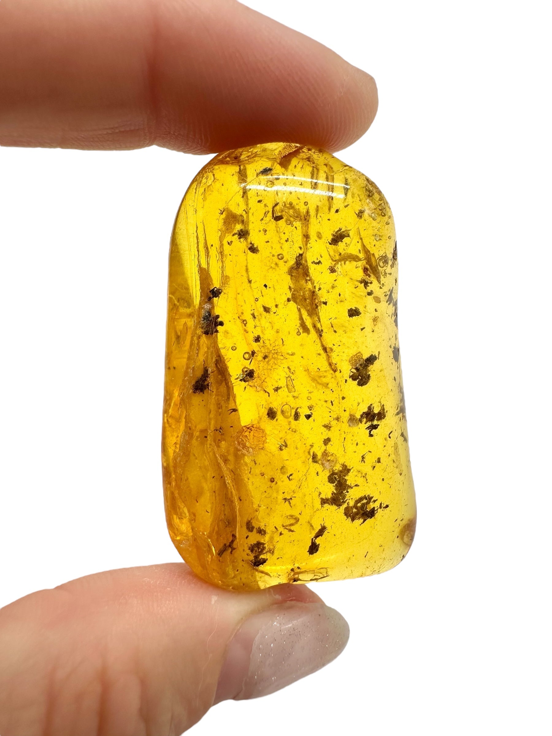Amber 12,2g – Lithuania - JN490