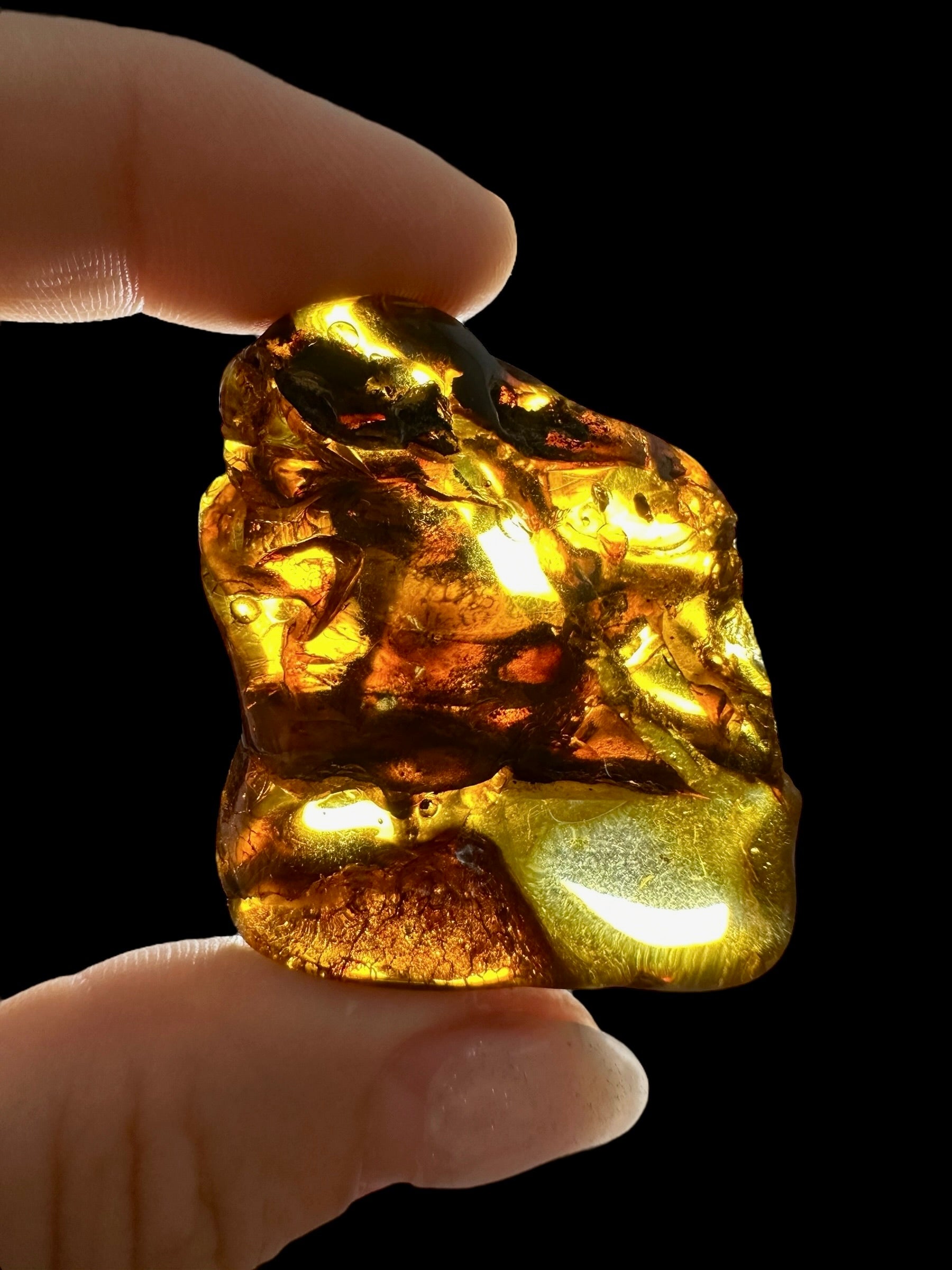 Amber 12,9g – Lithuania - JN492