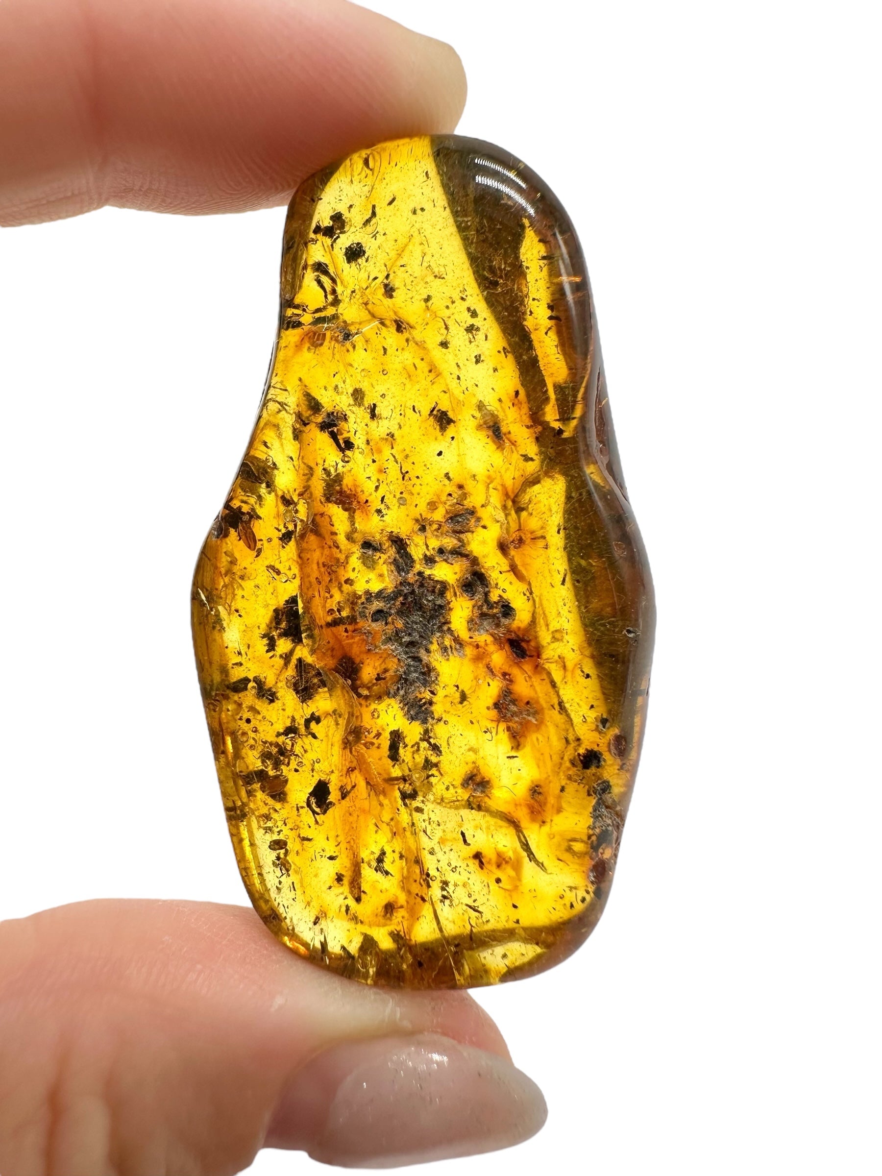 Amber 11,6g – Lithuania - JN493