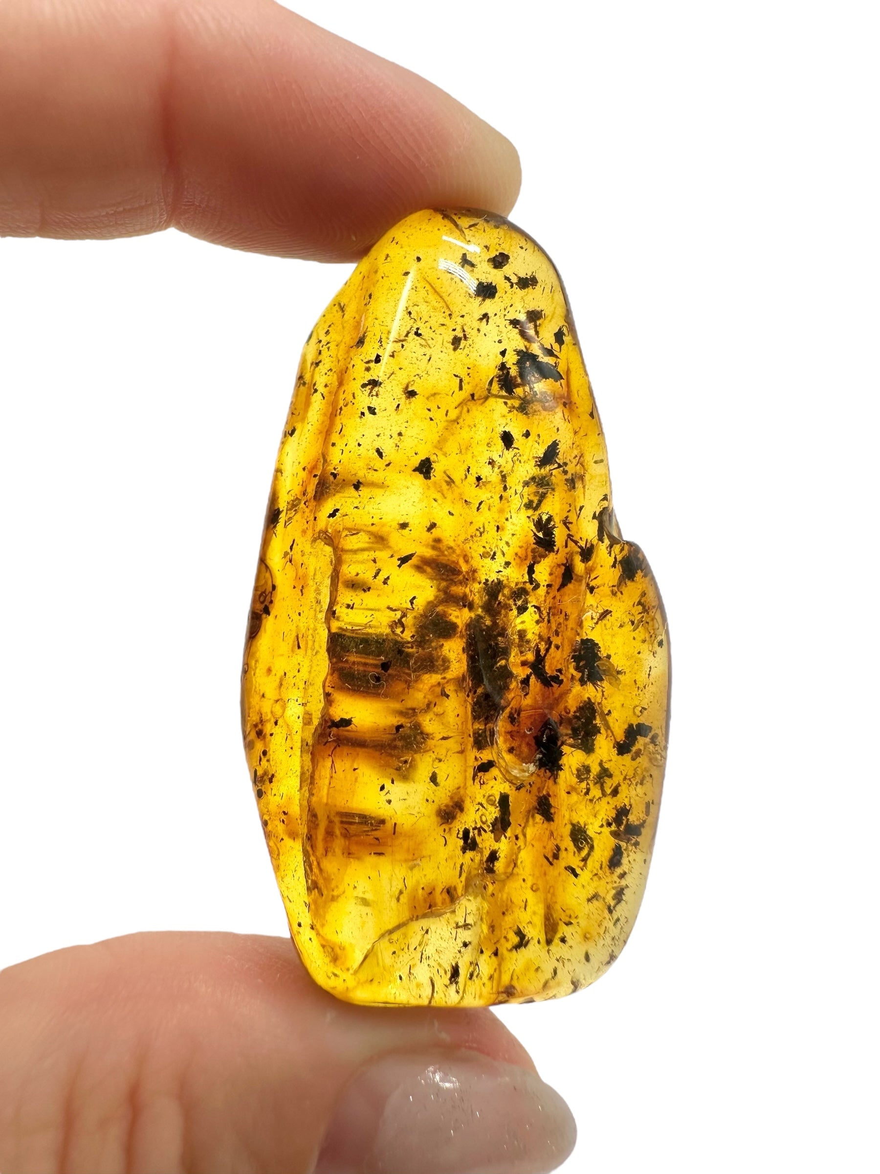 Amber 11,6g – Lithuania - JN493