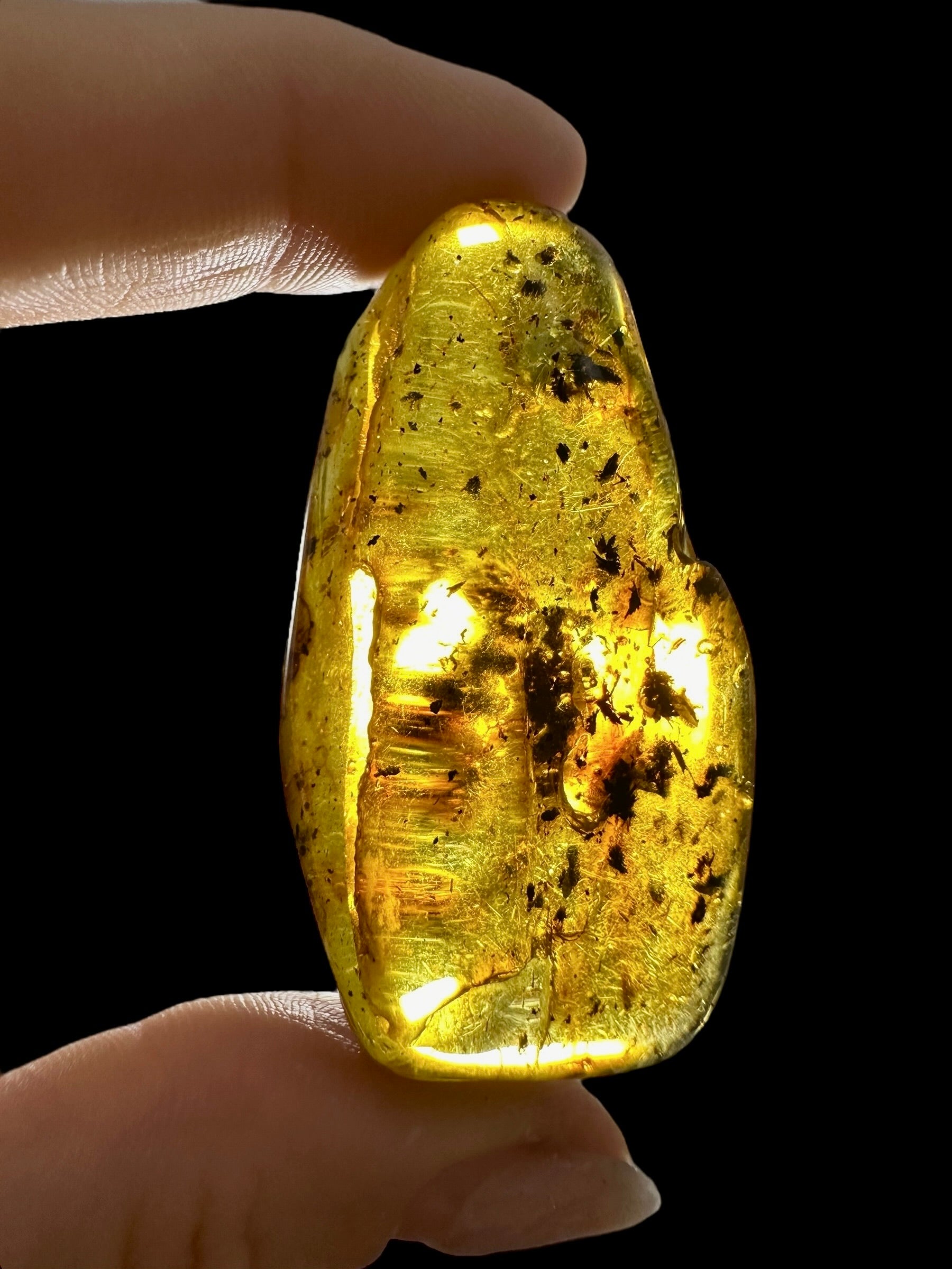 Amber 11,6g – Lithuania - JN493