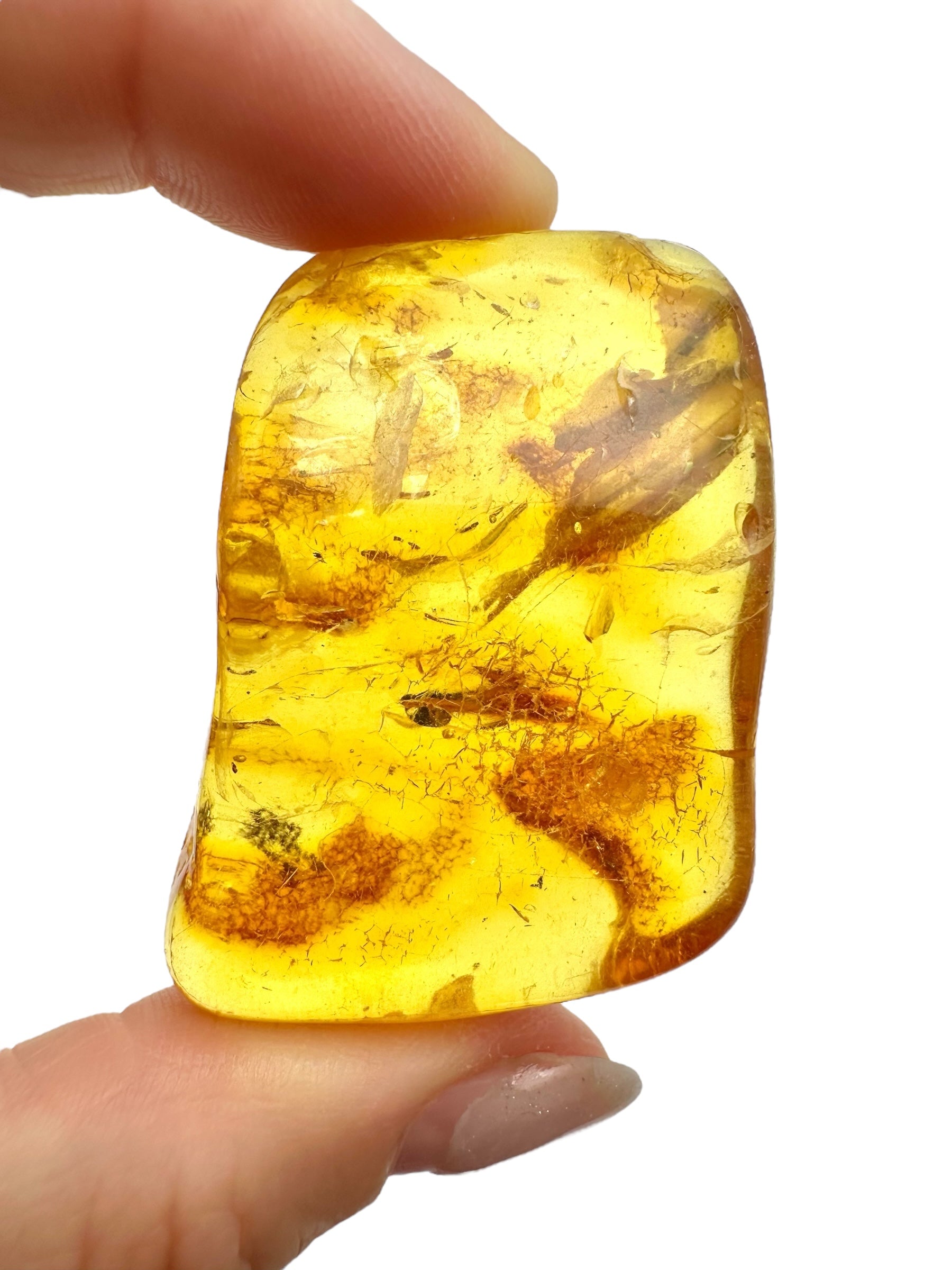 Amber 13,7g – Lithuania - JN494