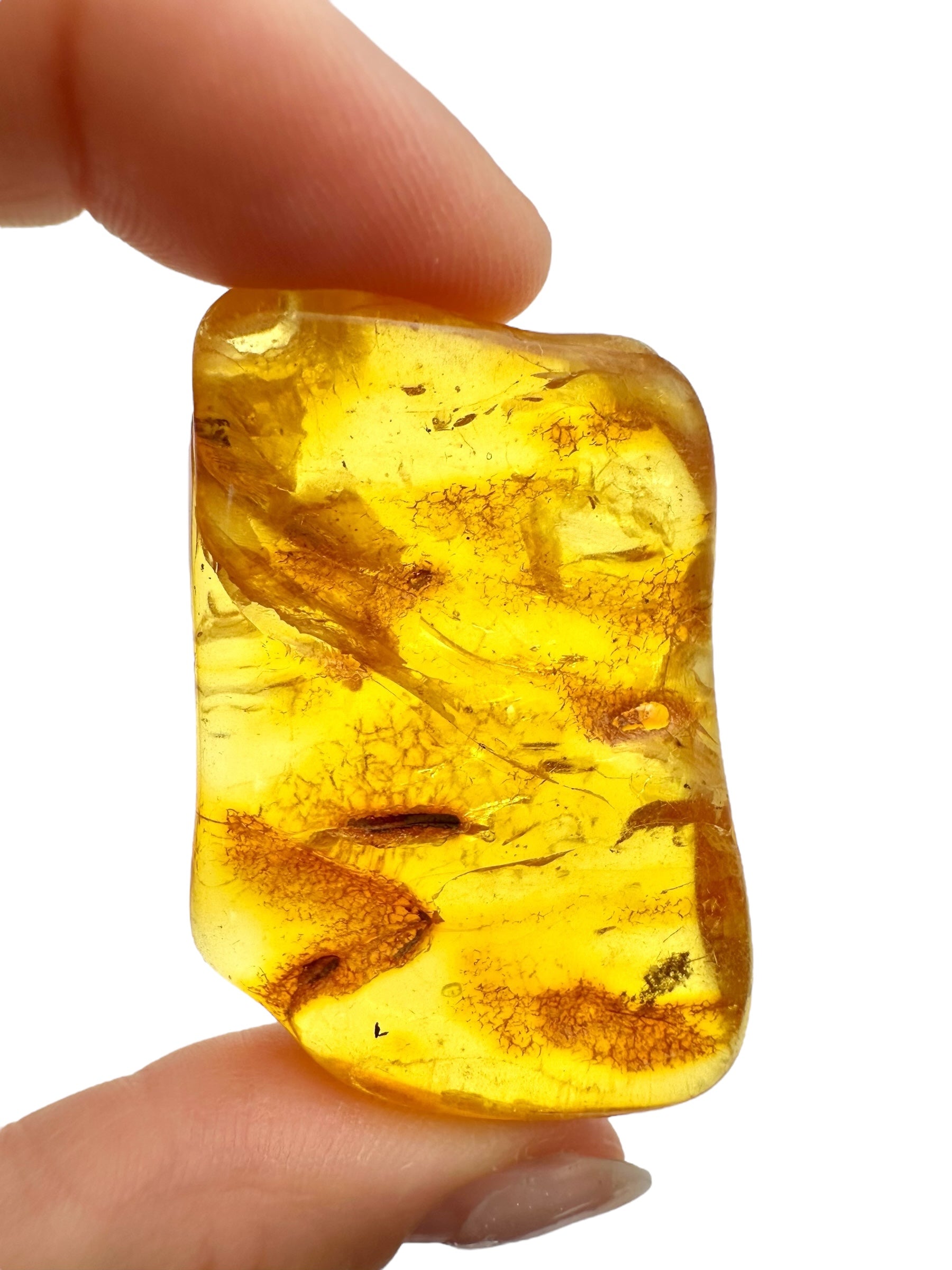 Amber 13,7g – Lithuania - JN494