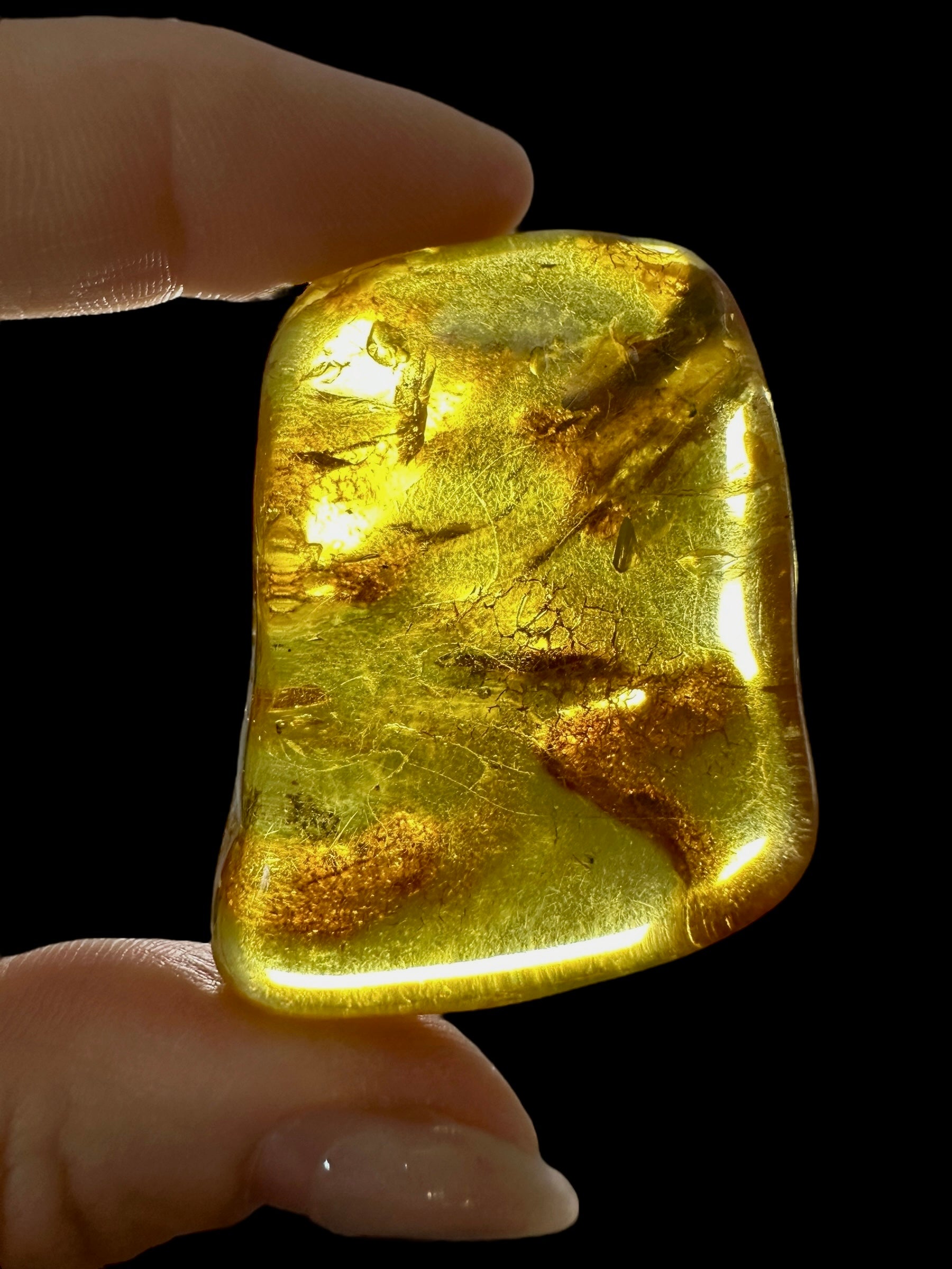 Amber 13,7g – Lithuania - JN494