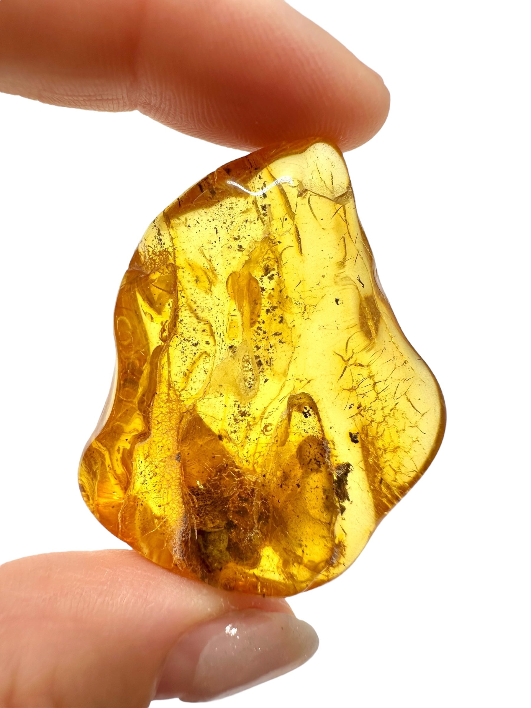 Amber 10,2g – Lithuania - JN496