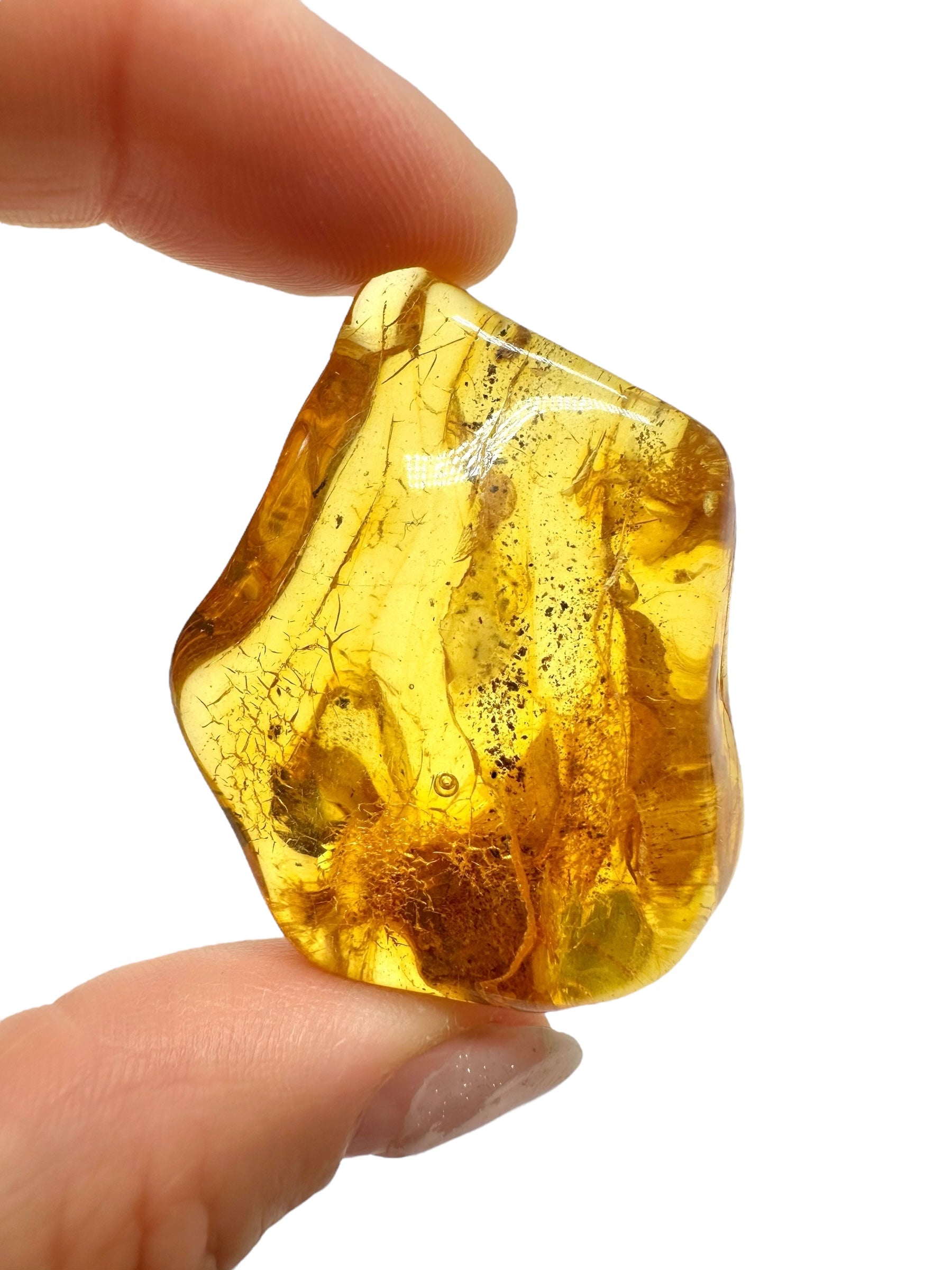 Amber 10,2g – Lithuania - JN496