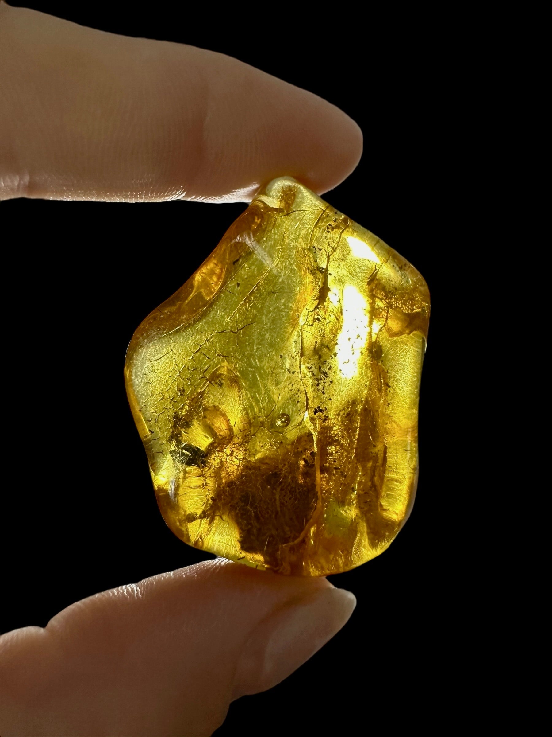 Amber 10,2g – Lithuania - JN496
