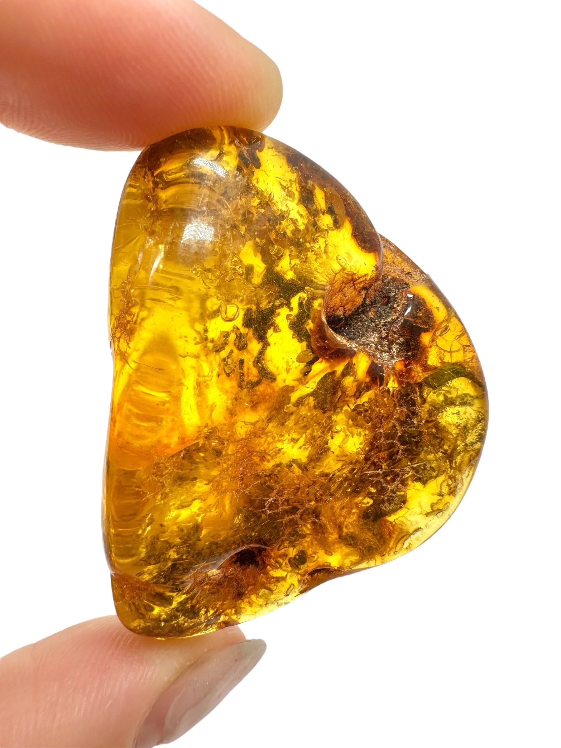 Amber 11,6g – Lithuania - JN499