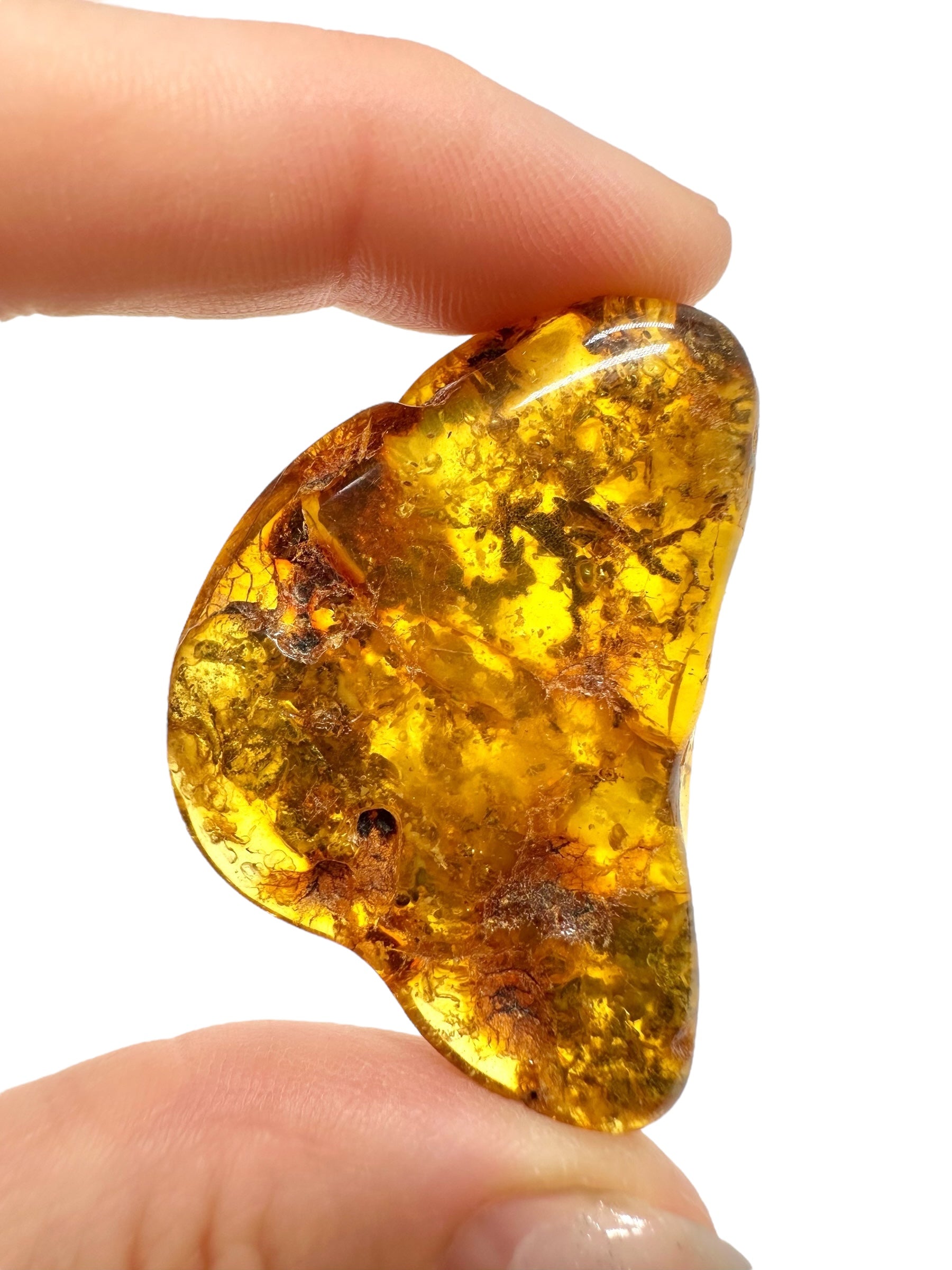 Amber 11,6g – Lithuania - JN499