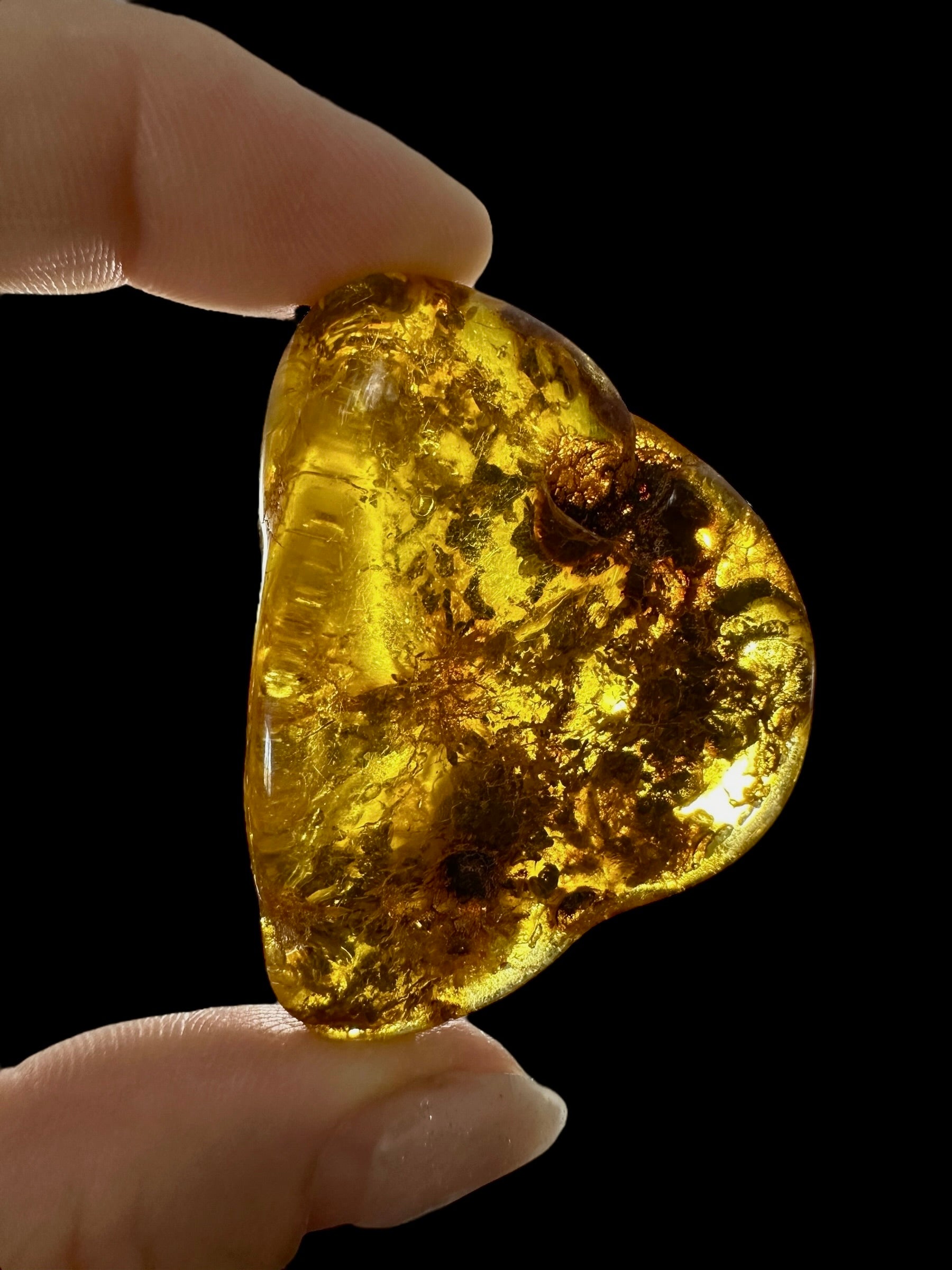 Amber 11,6g – Lithuania - JN499